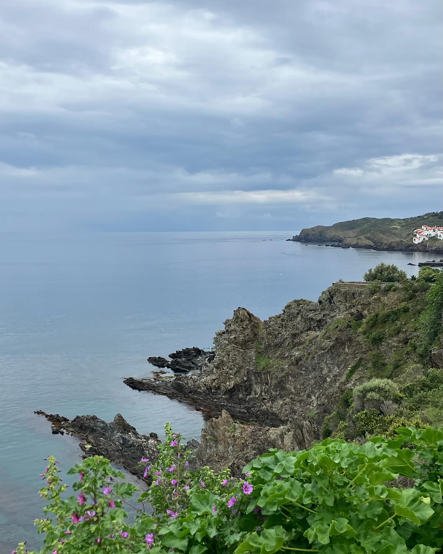 Dag 32 - 18019340540703197.jpg