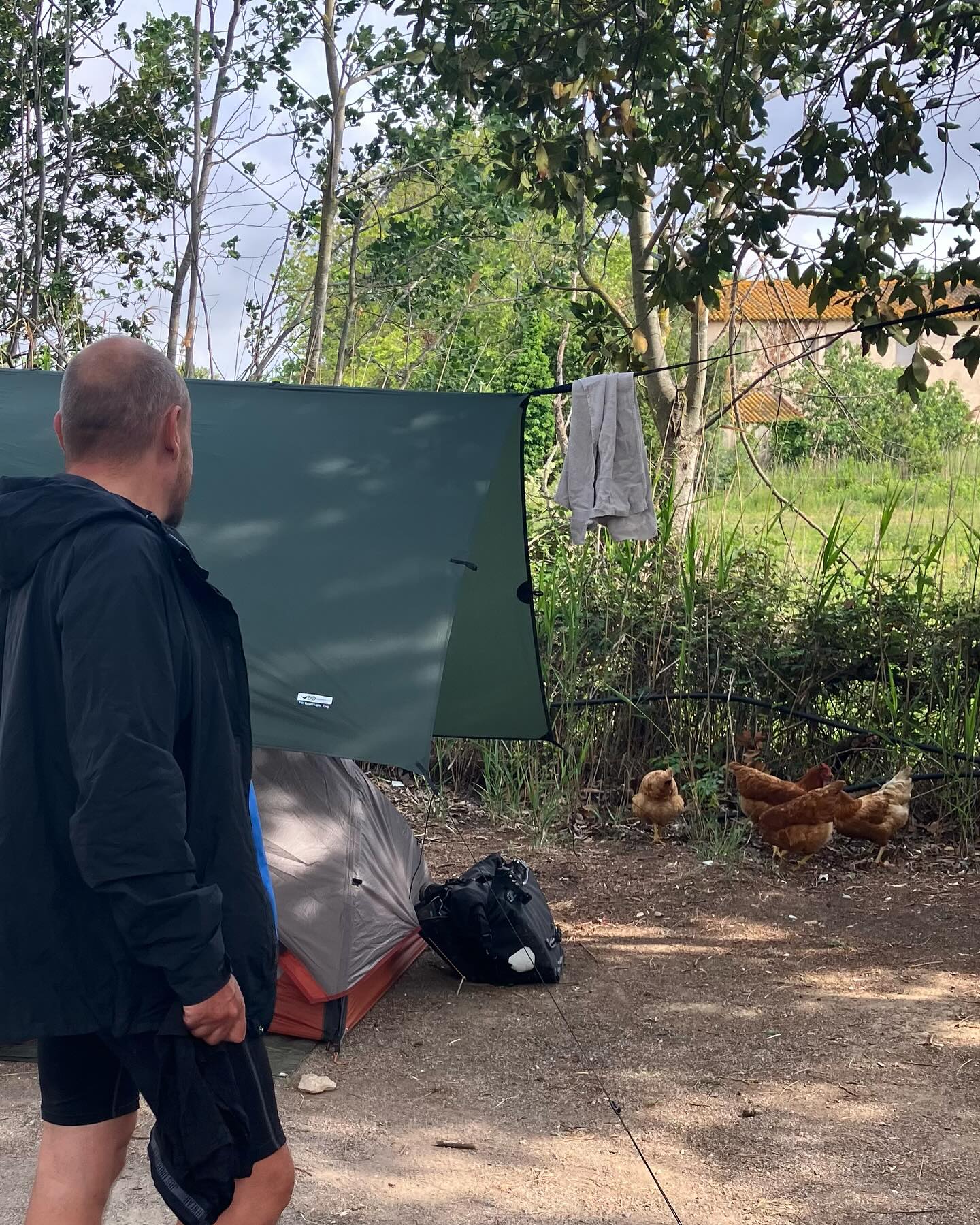 Dag 33 - 18074453773700321.jpg