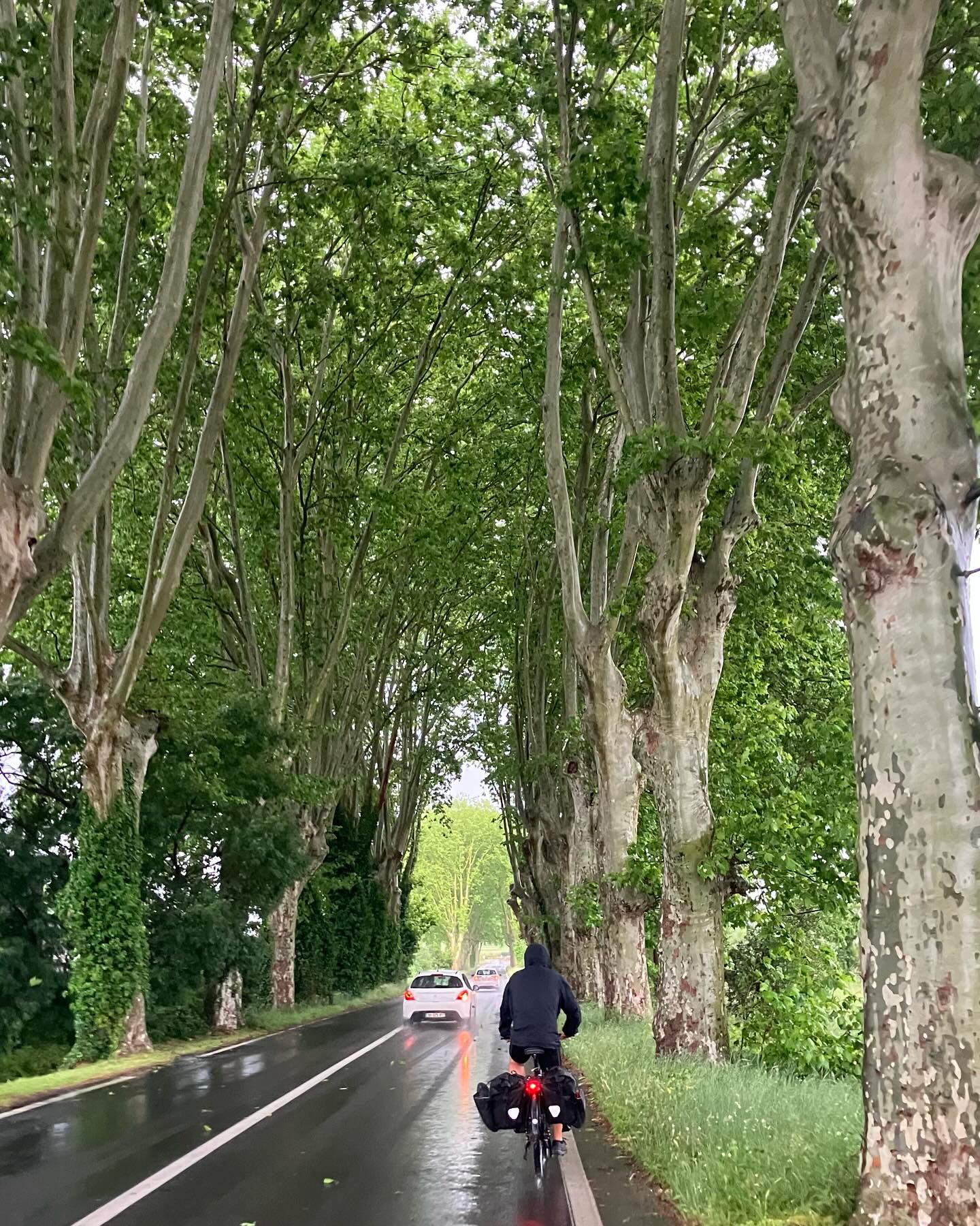 Dag 34 - 18012186752547023.jpg