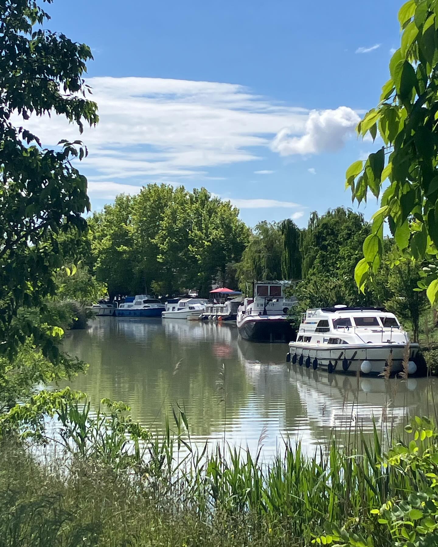 Dag 35 - 17862458160333258.jpg