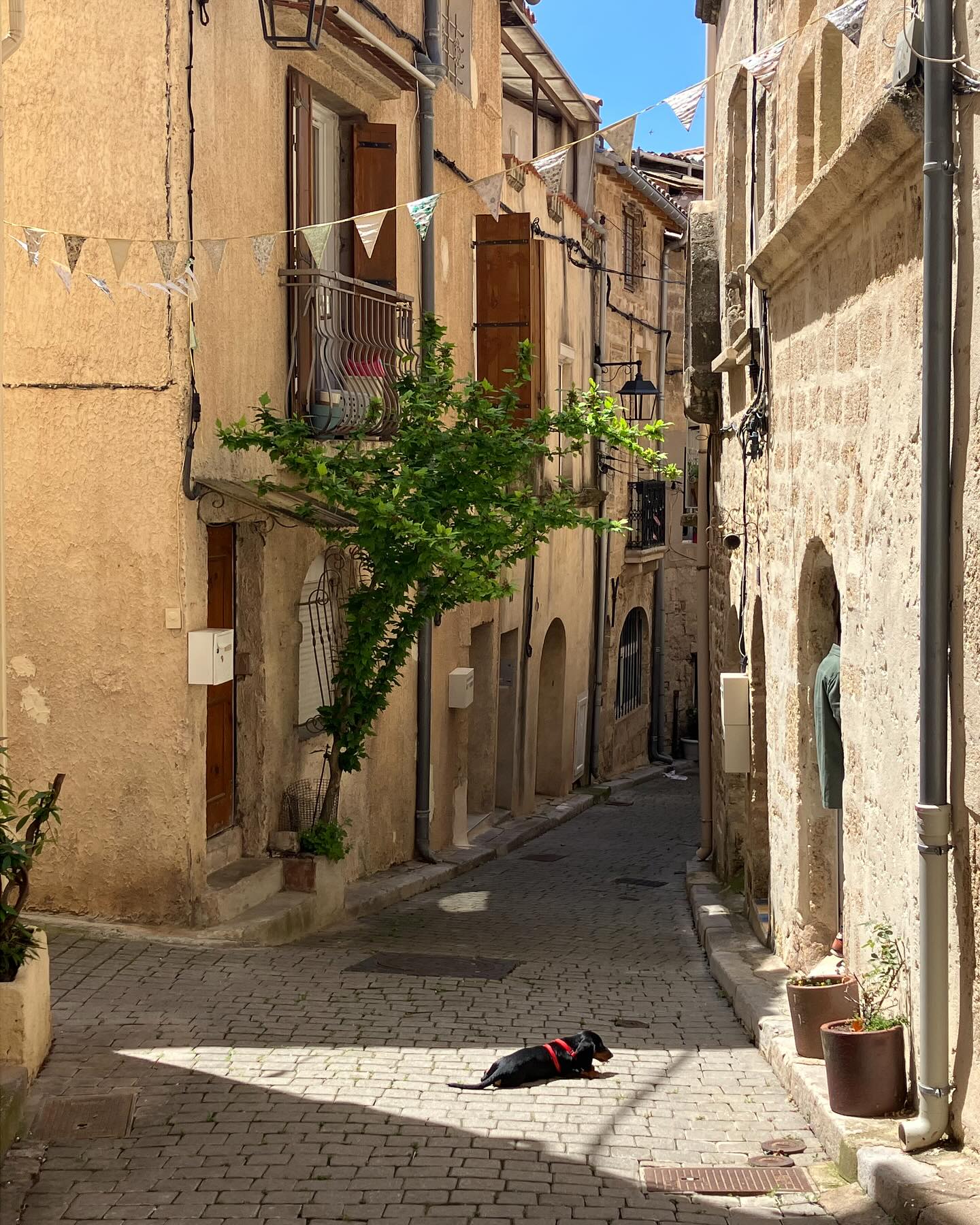 Dag 36 - 17895644529211361.jpg