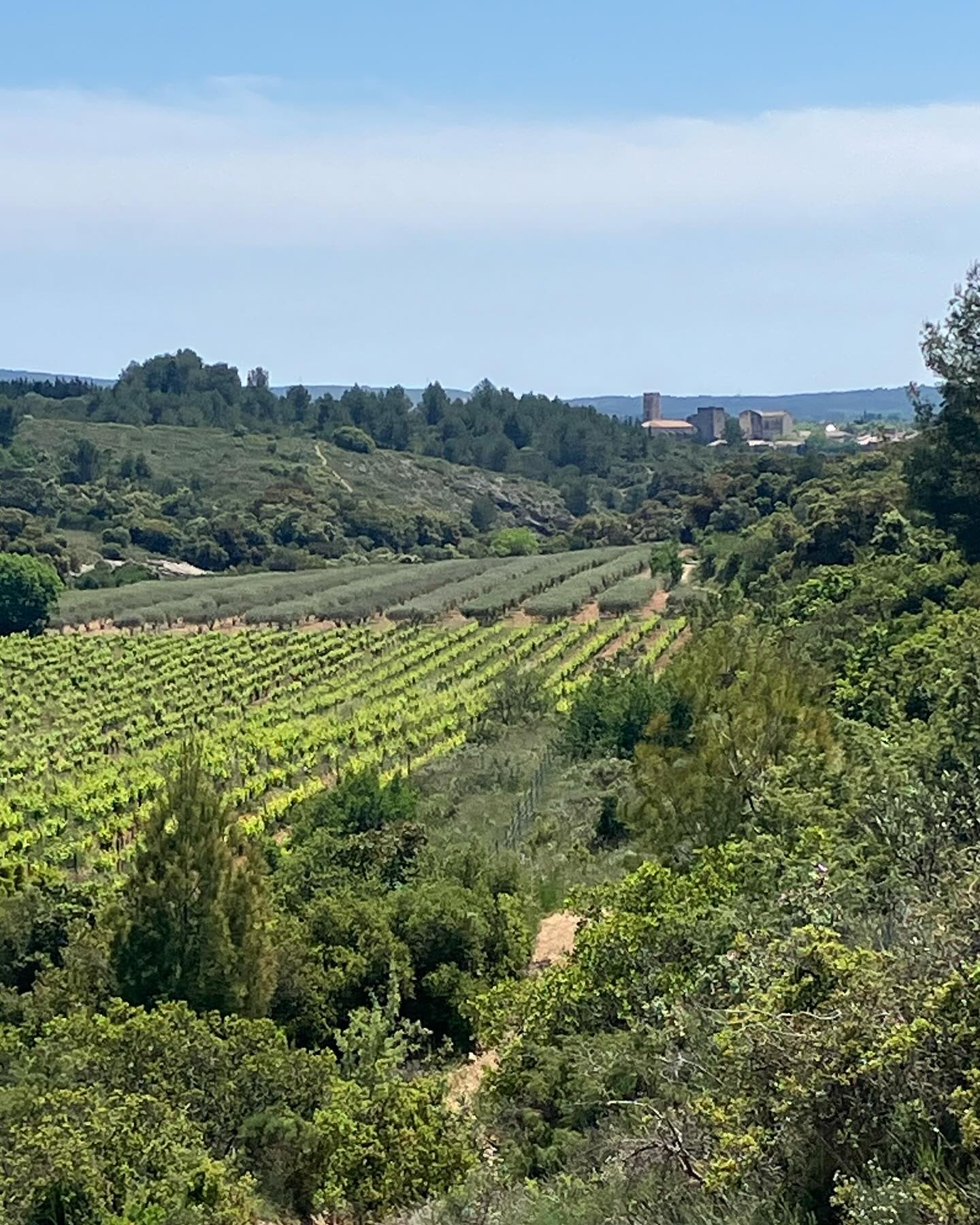 Dag 37 - 18050553065089115.jpg