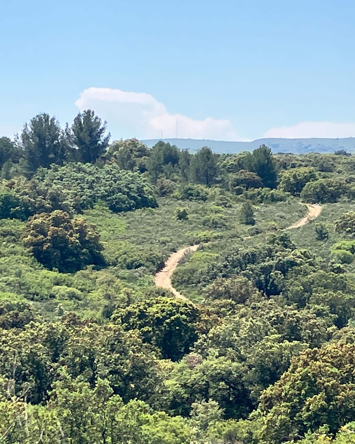 Dag 37 - 18078156409698535.jpg