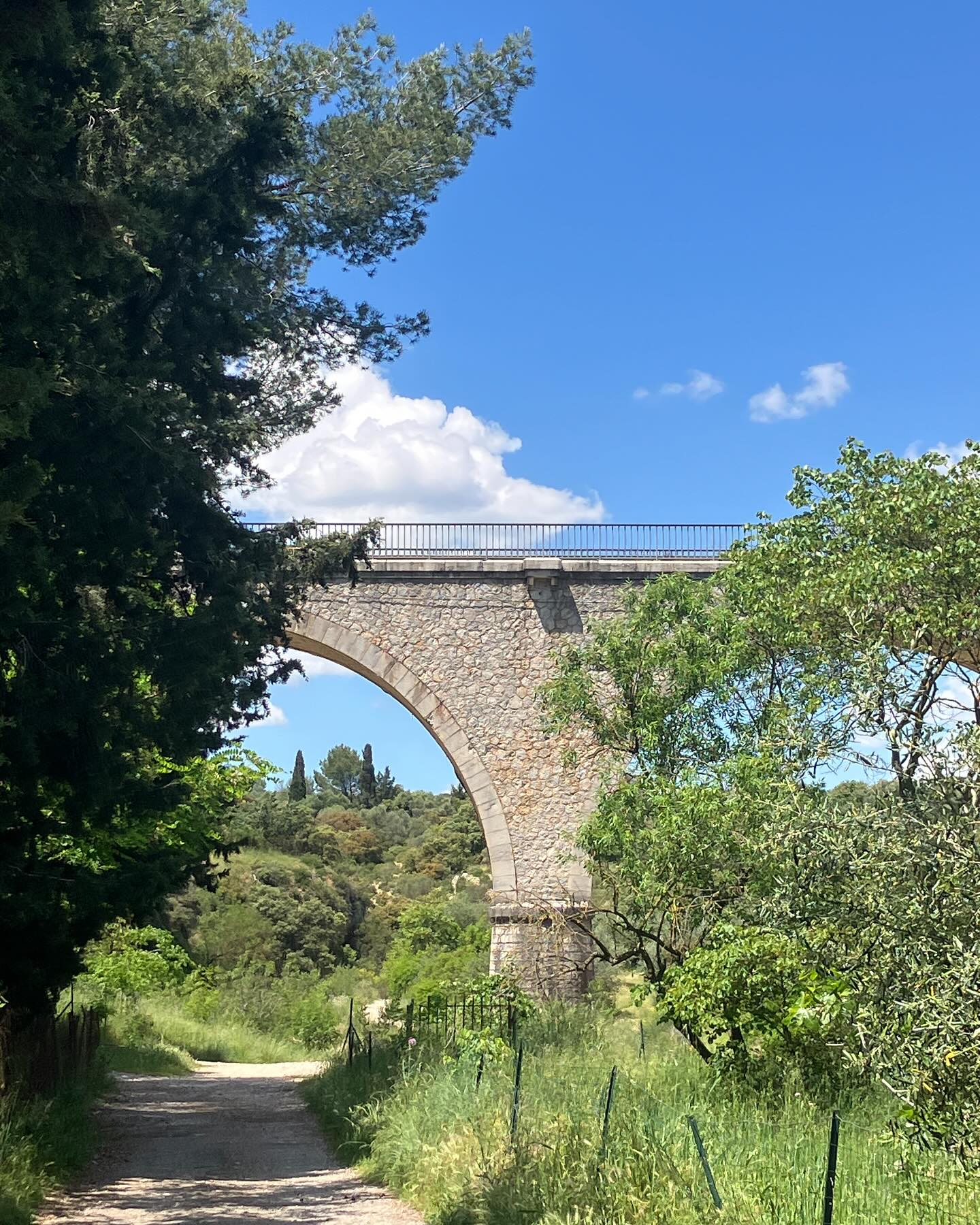 Dag 37 - 18277941040302011.jpg