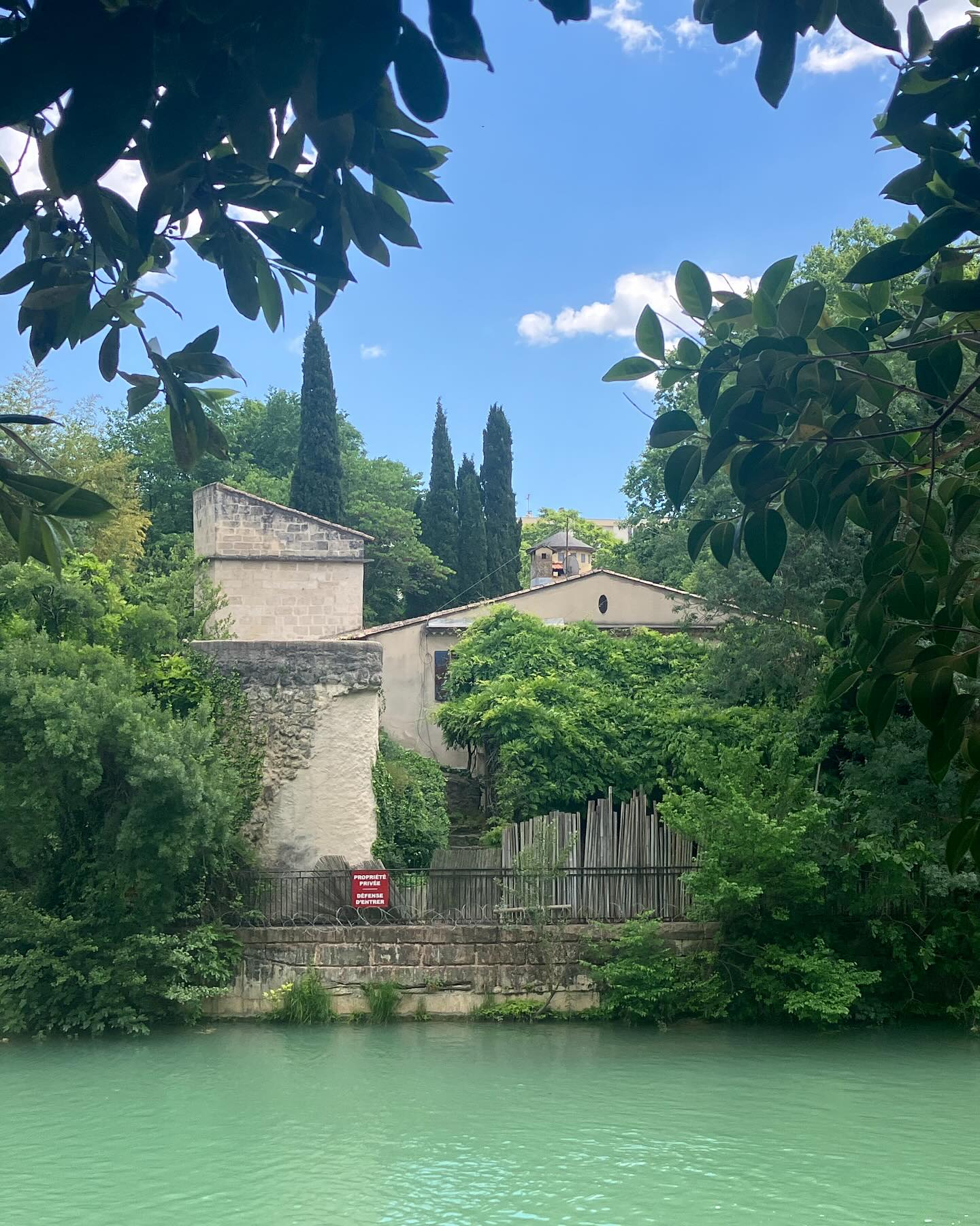 Dag 38 - 17960928398786213.jpg