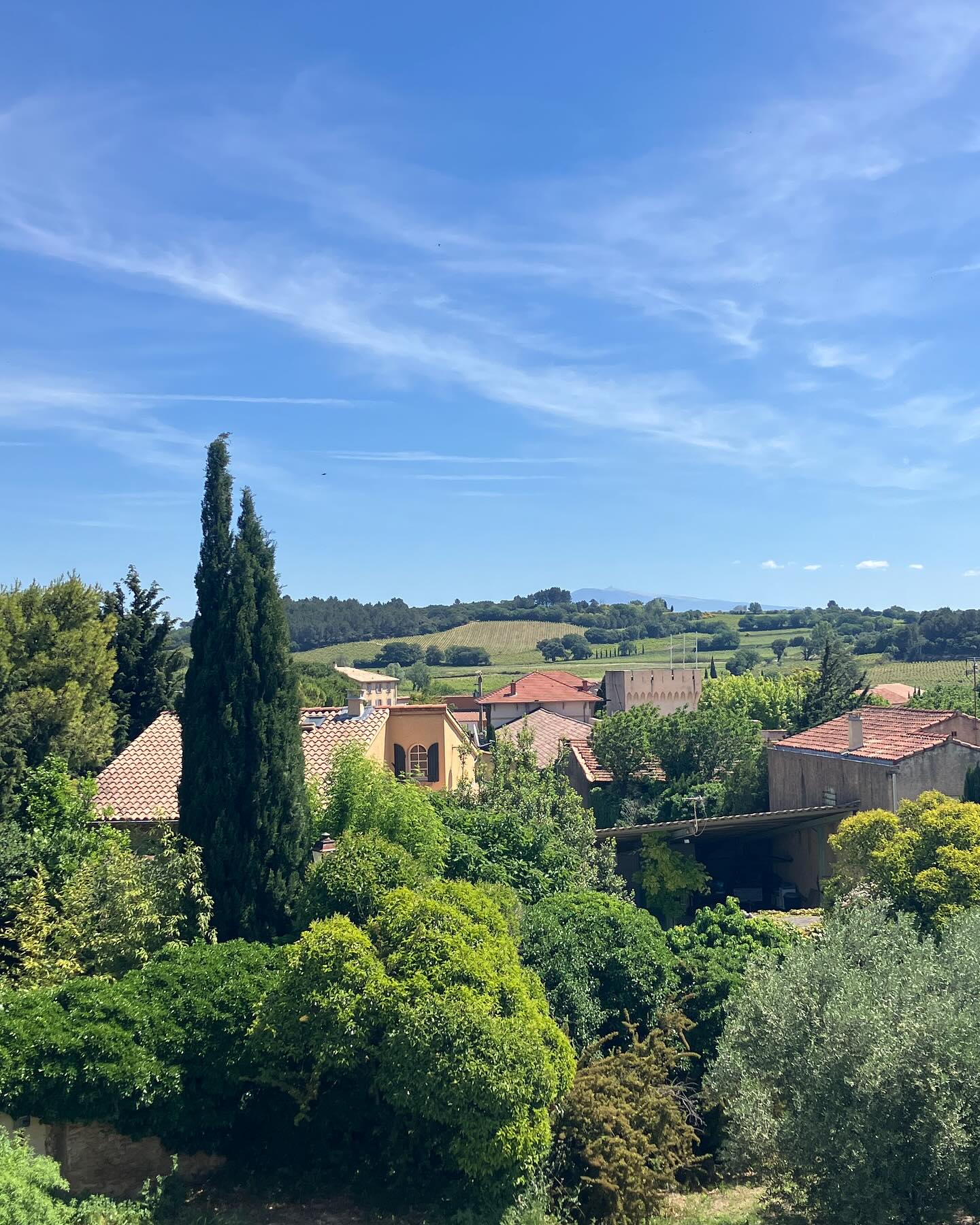 Dag 41 - 18054189194051214.jpg