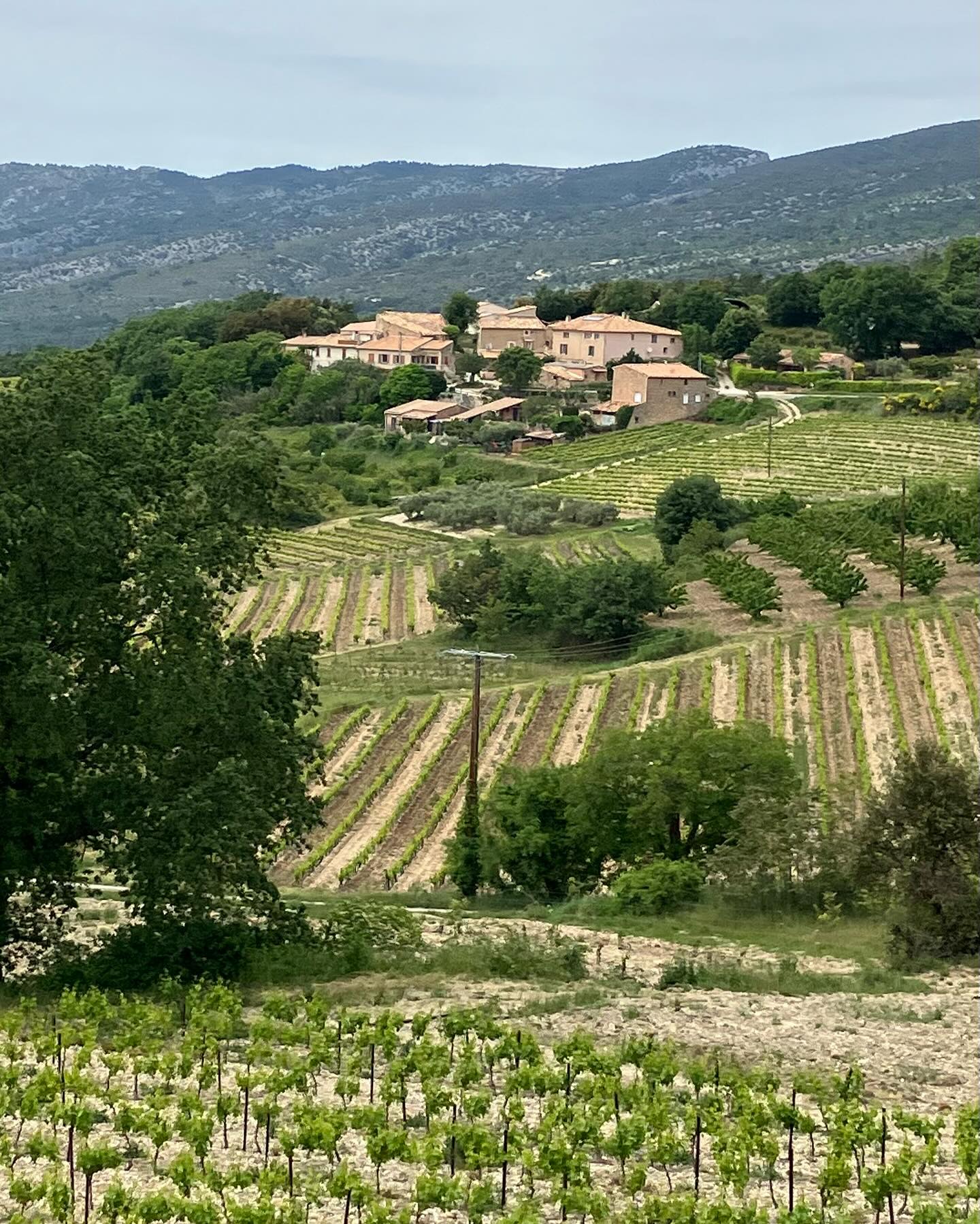 Dag 42 - 17941708895878505.jpg