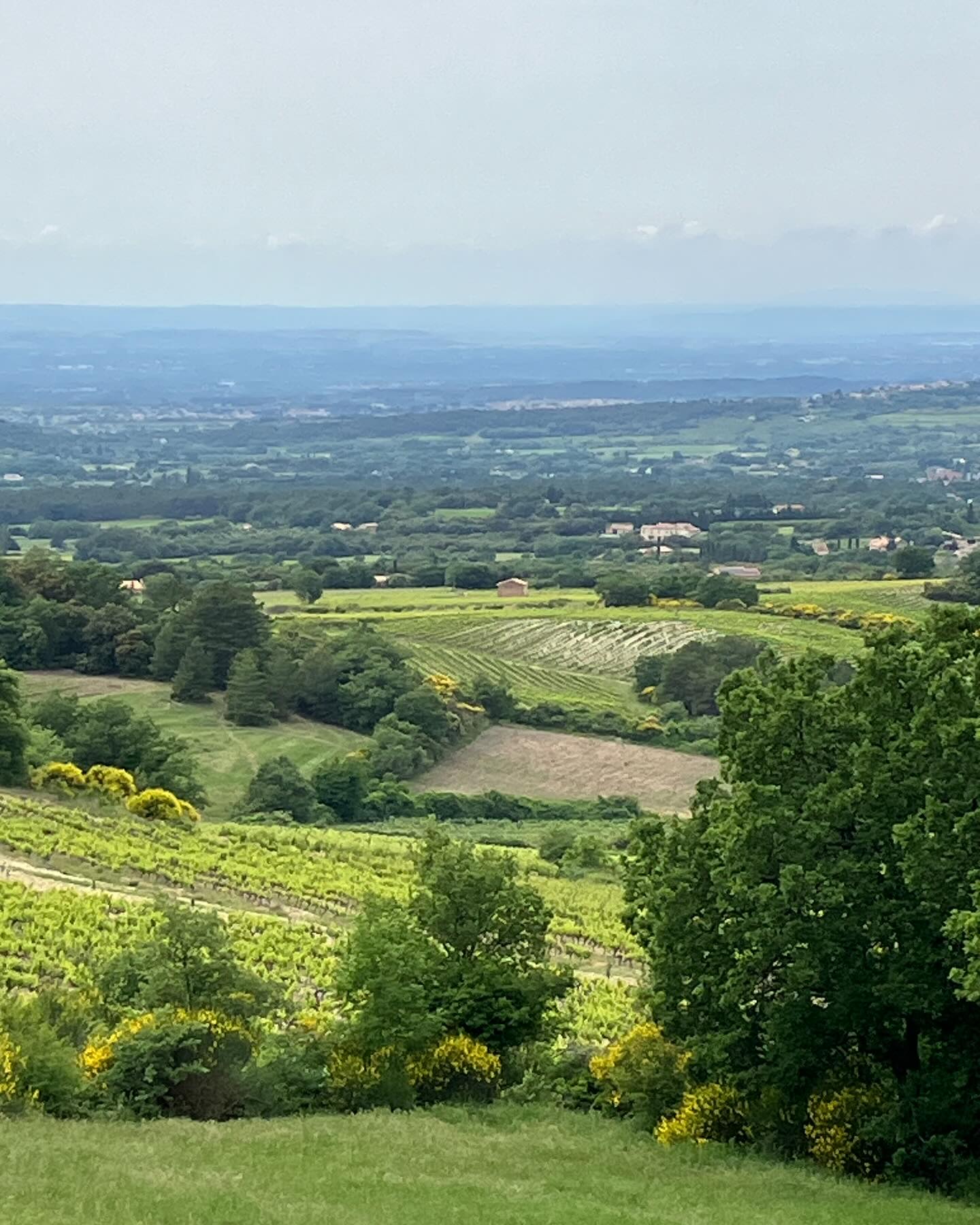 Dag 42 - 18035721992334562.jpg