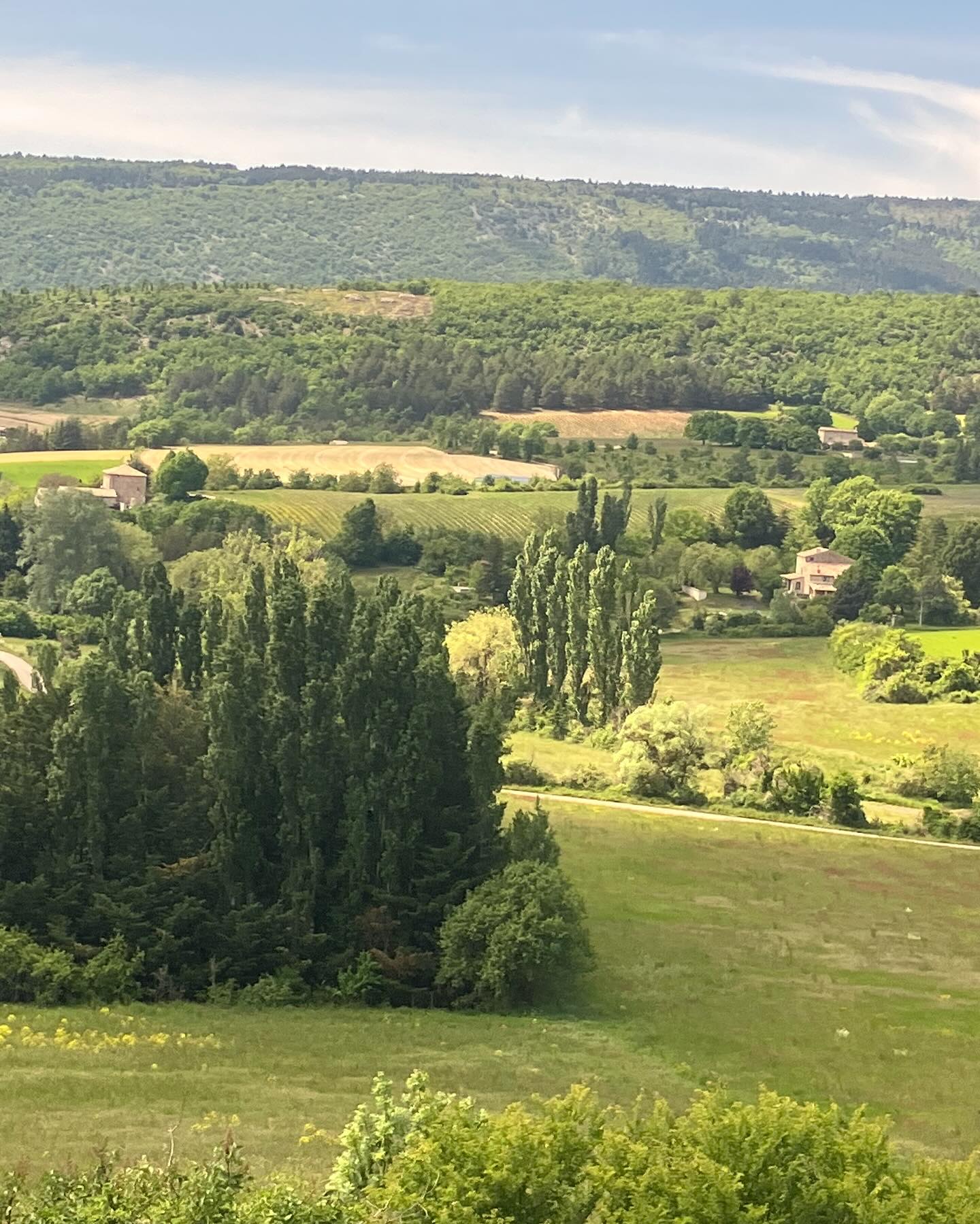 Dag 44 - 17956240619951677.jpg