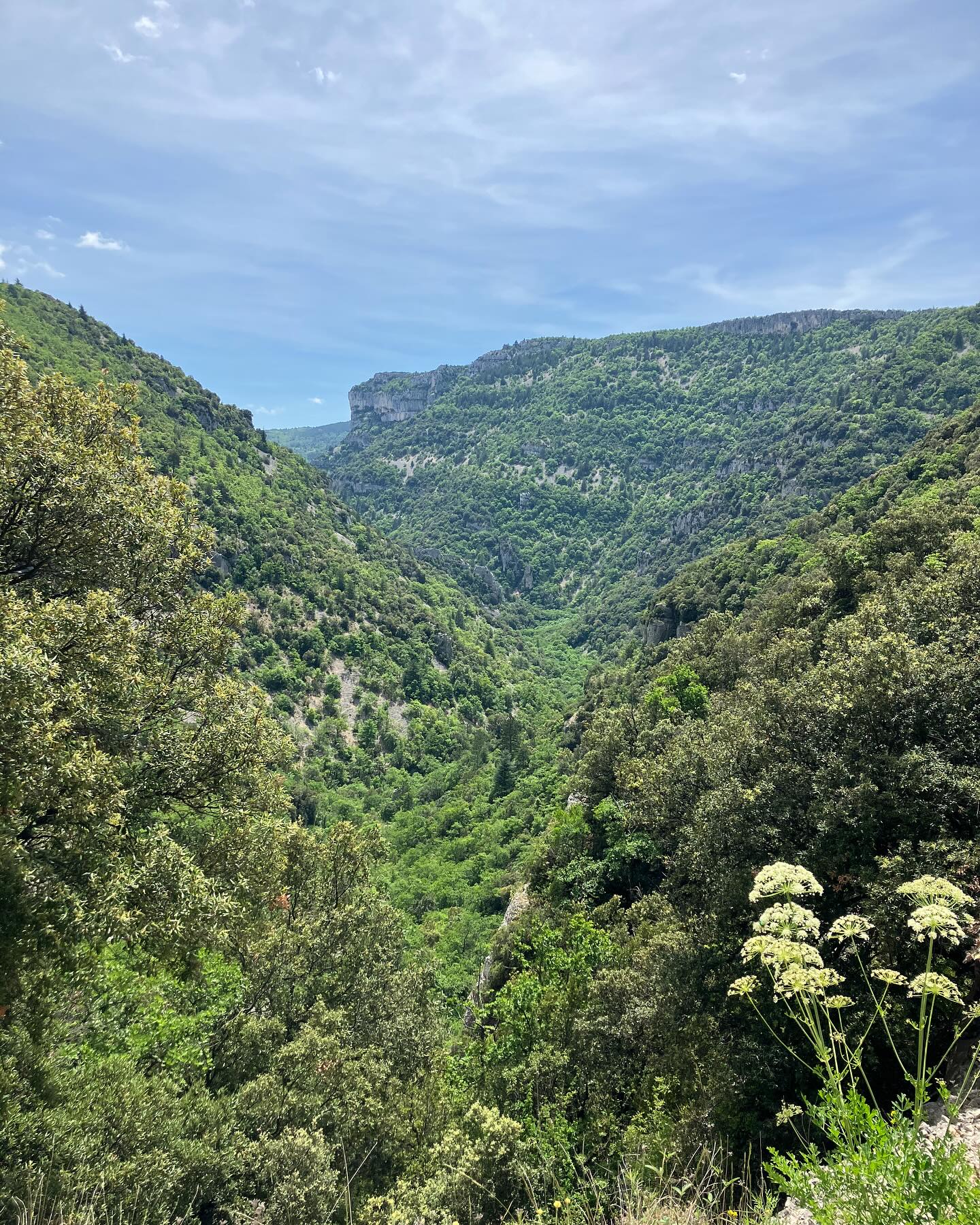 Dag 44 - 18104280883525819.jpg