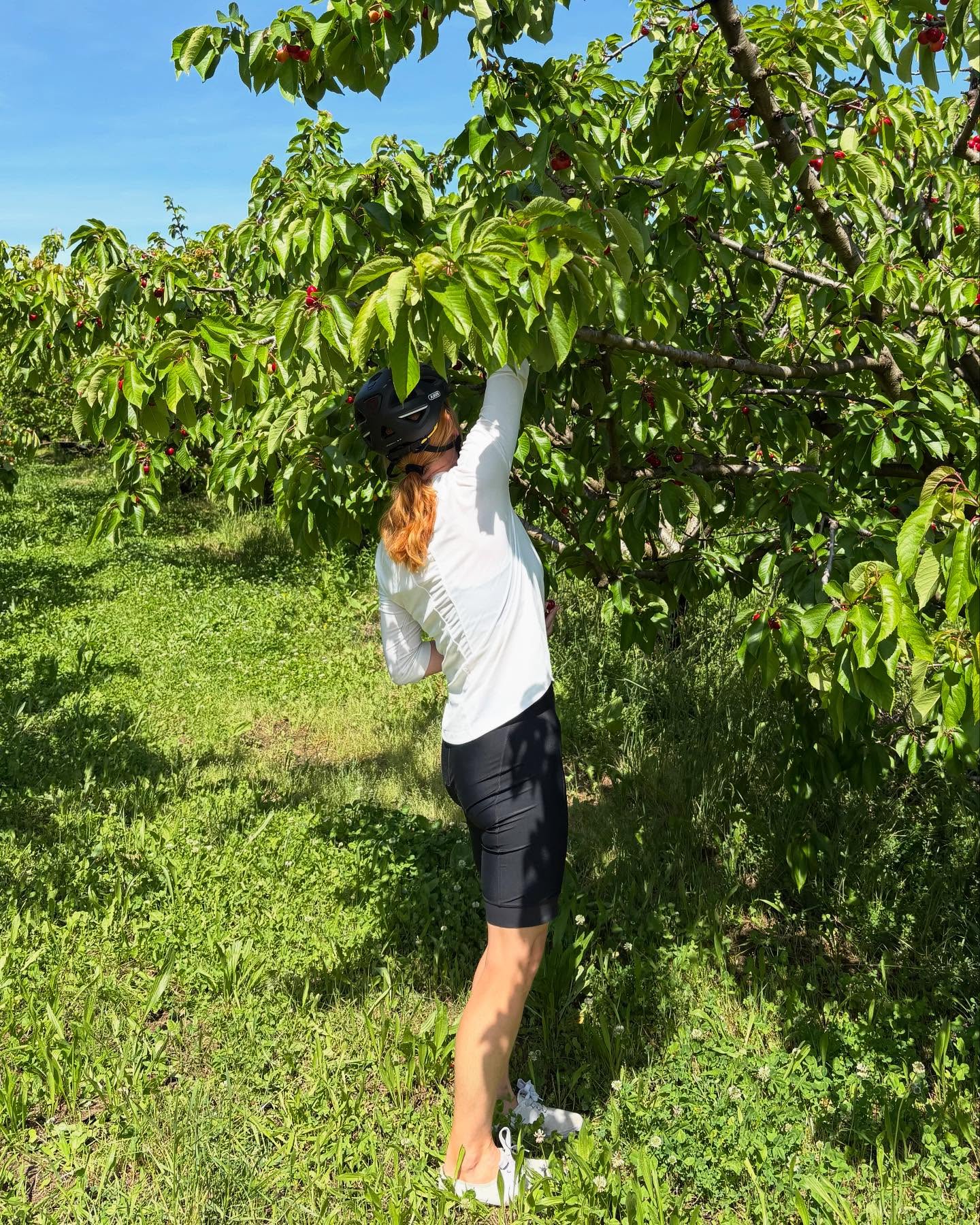 Dag 44 - 18173171467336873.jpg