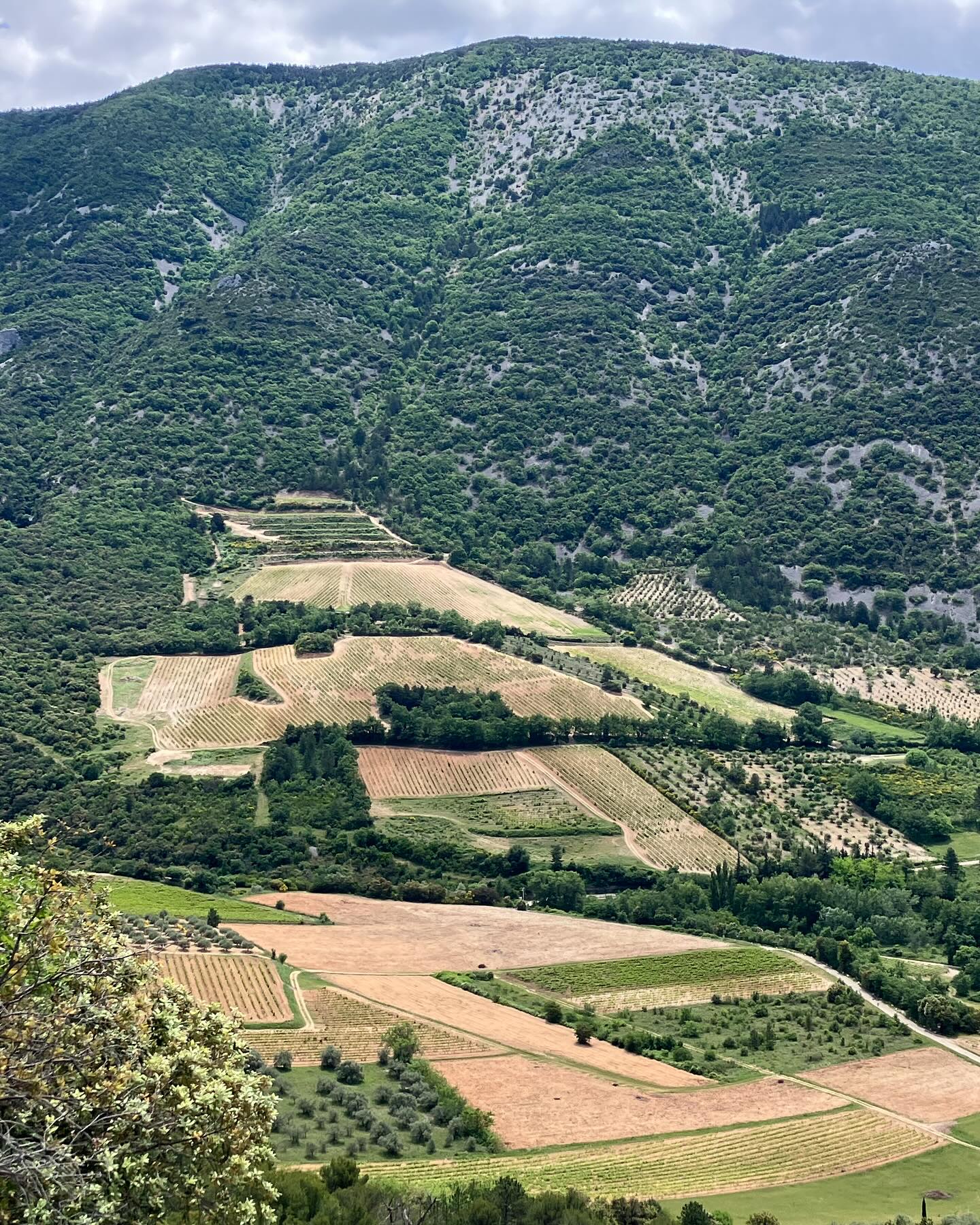 Dag 45 - 18180416089320099.jpg