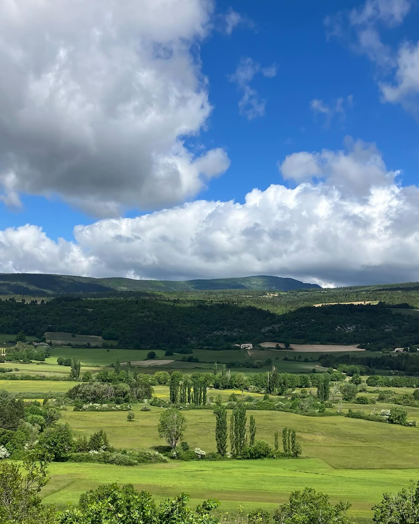 Dag 45 - 18348778852154292.jpg