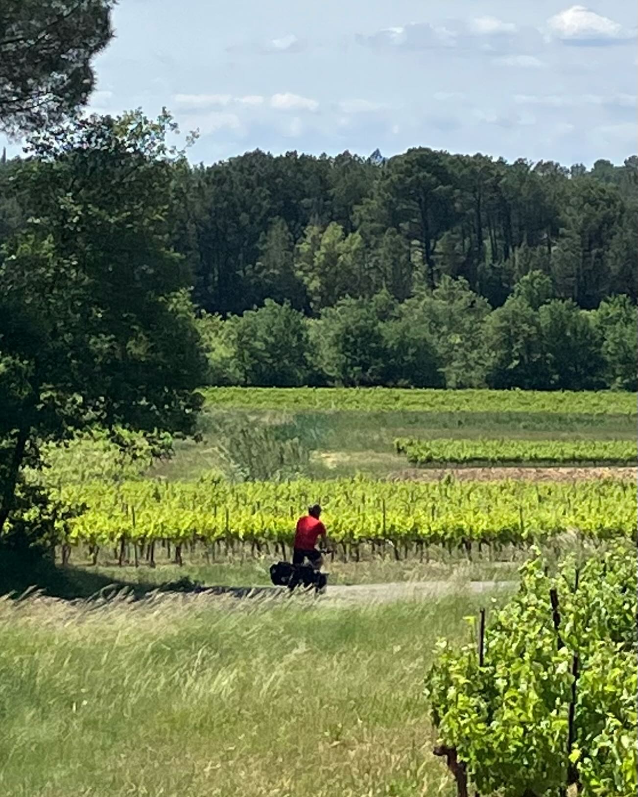 Dag 47 - 18033726119370513.jpg