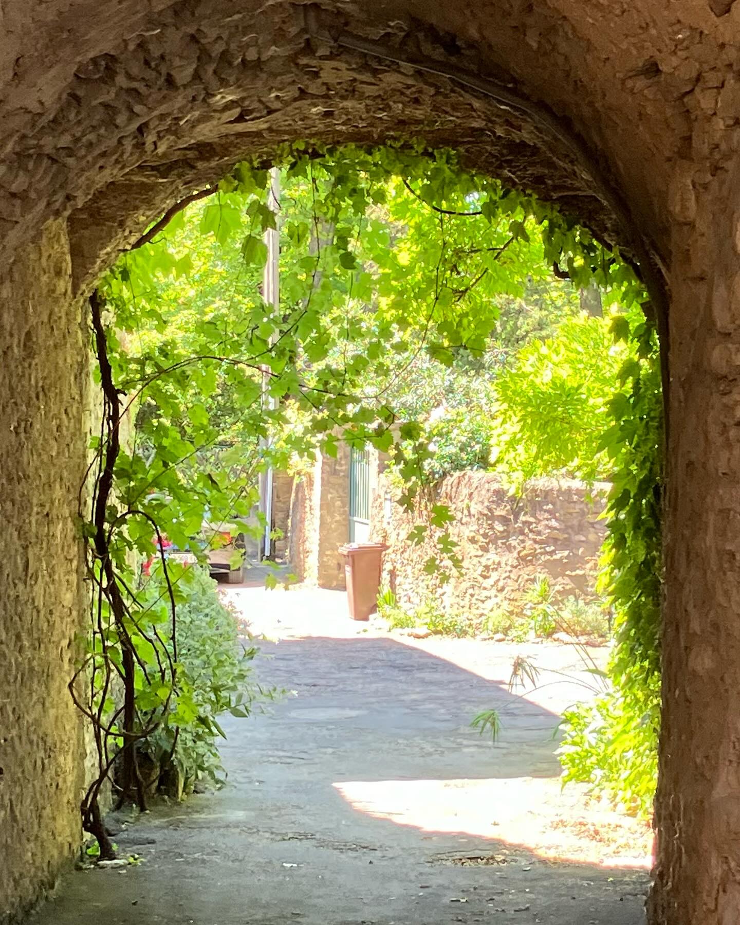 Dag 47 - 18055505123030417.jpg