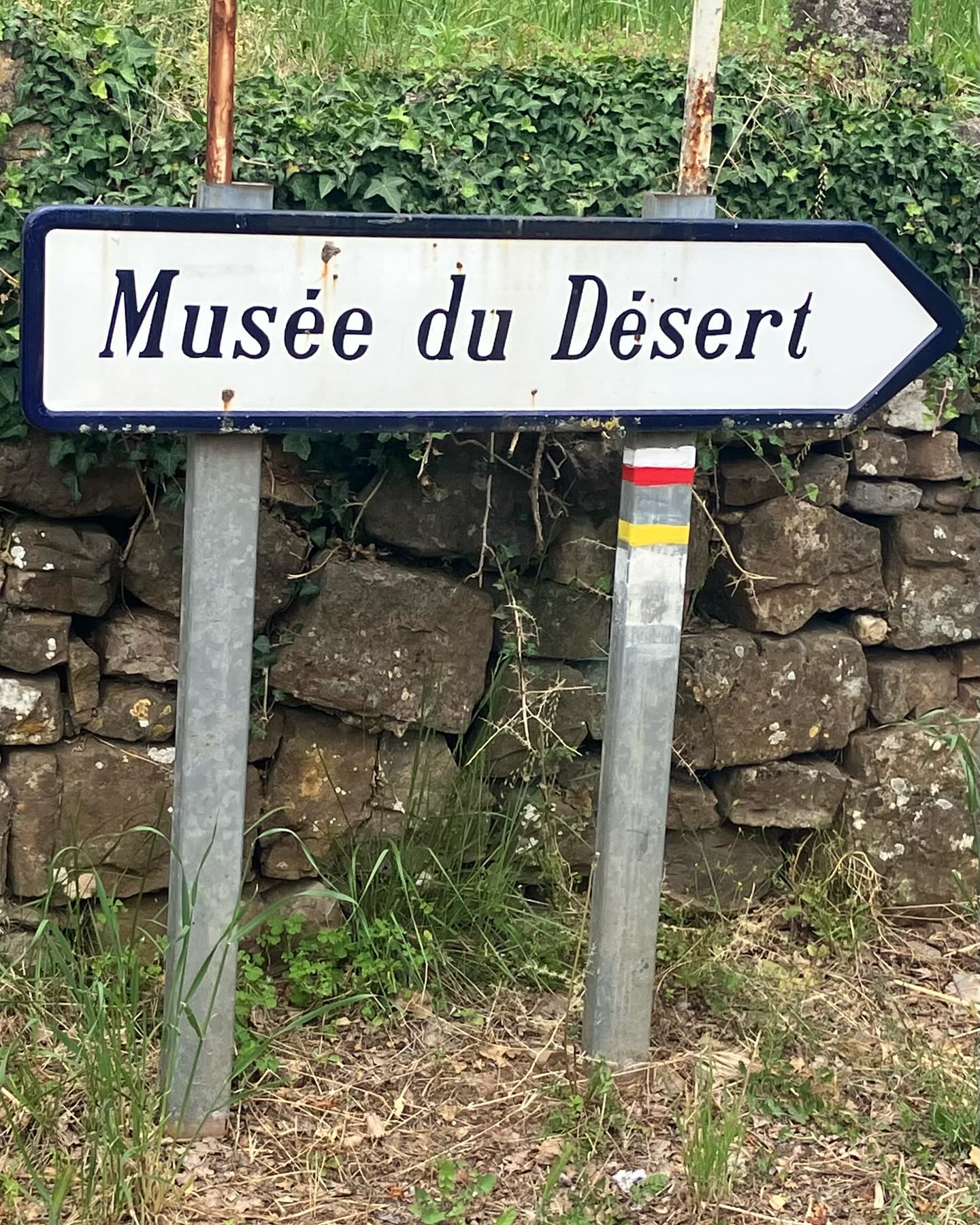 Dag 48 - 17858046978375365.jpg