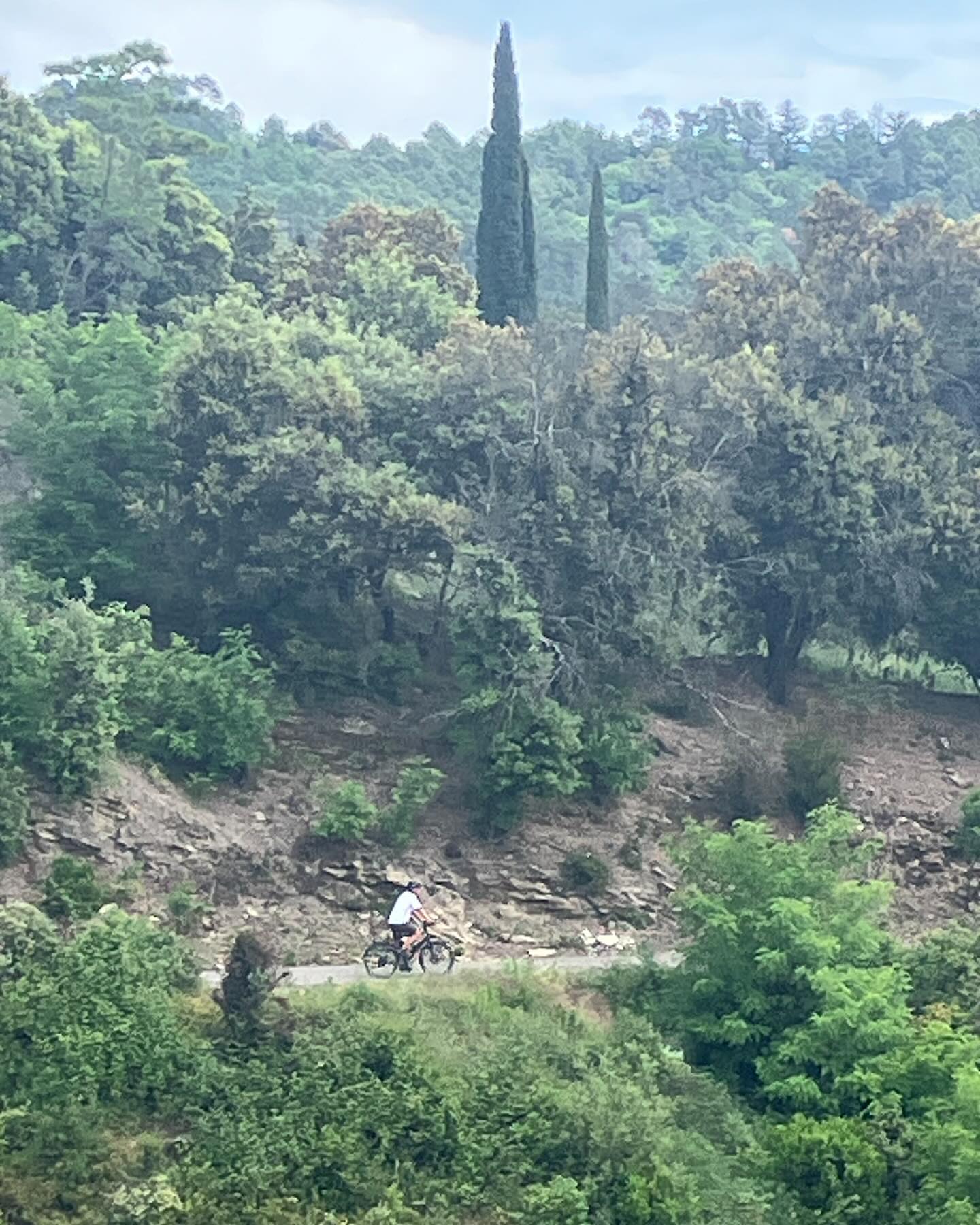 Dag 48 - 17973396878889315.jpg