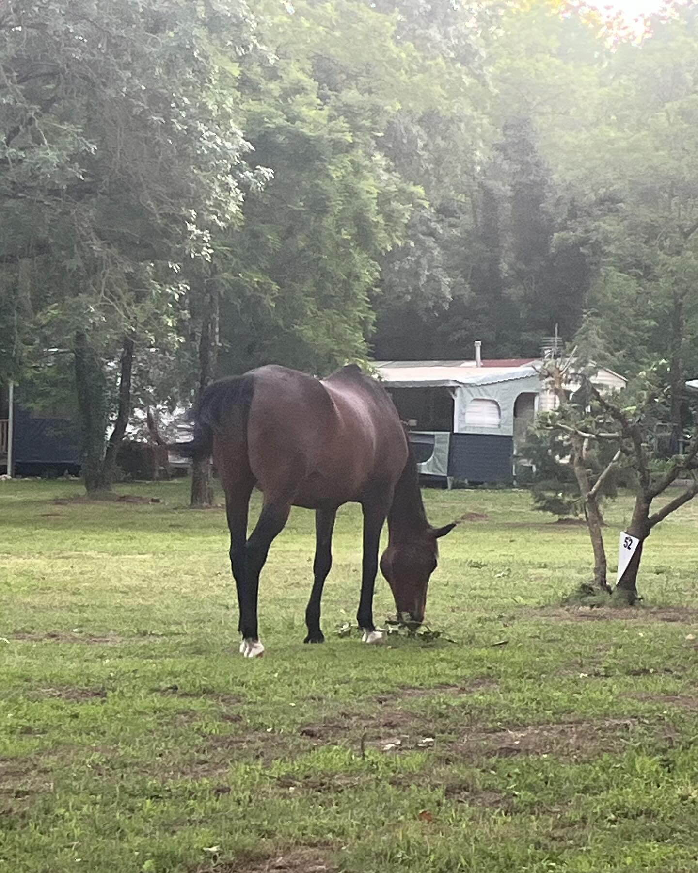 Dag 48 - 18046709591177902.jpg