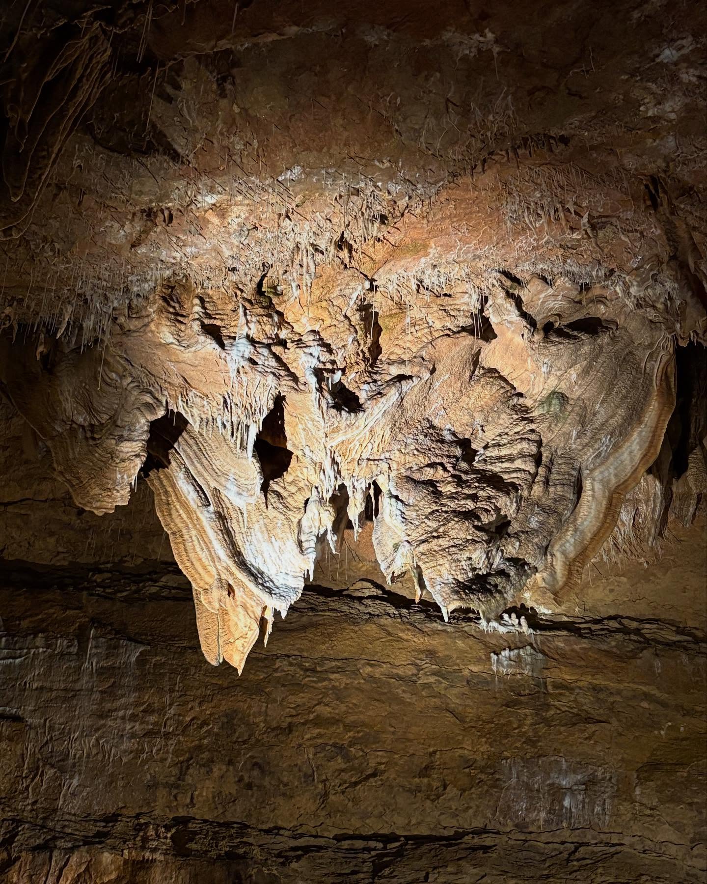 Dag 48 - 18067799327006649.jpg