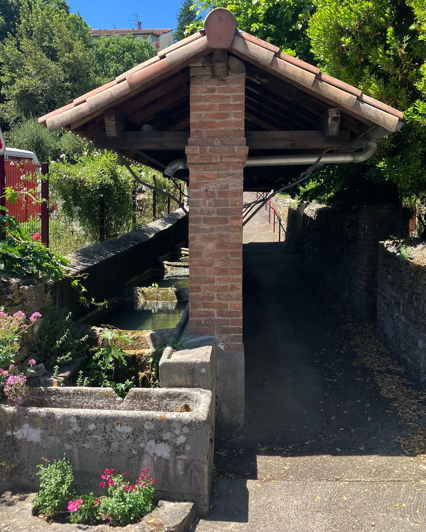 Dag 49 - 17924625003078887.jpg