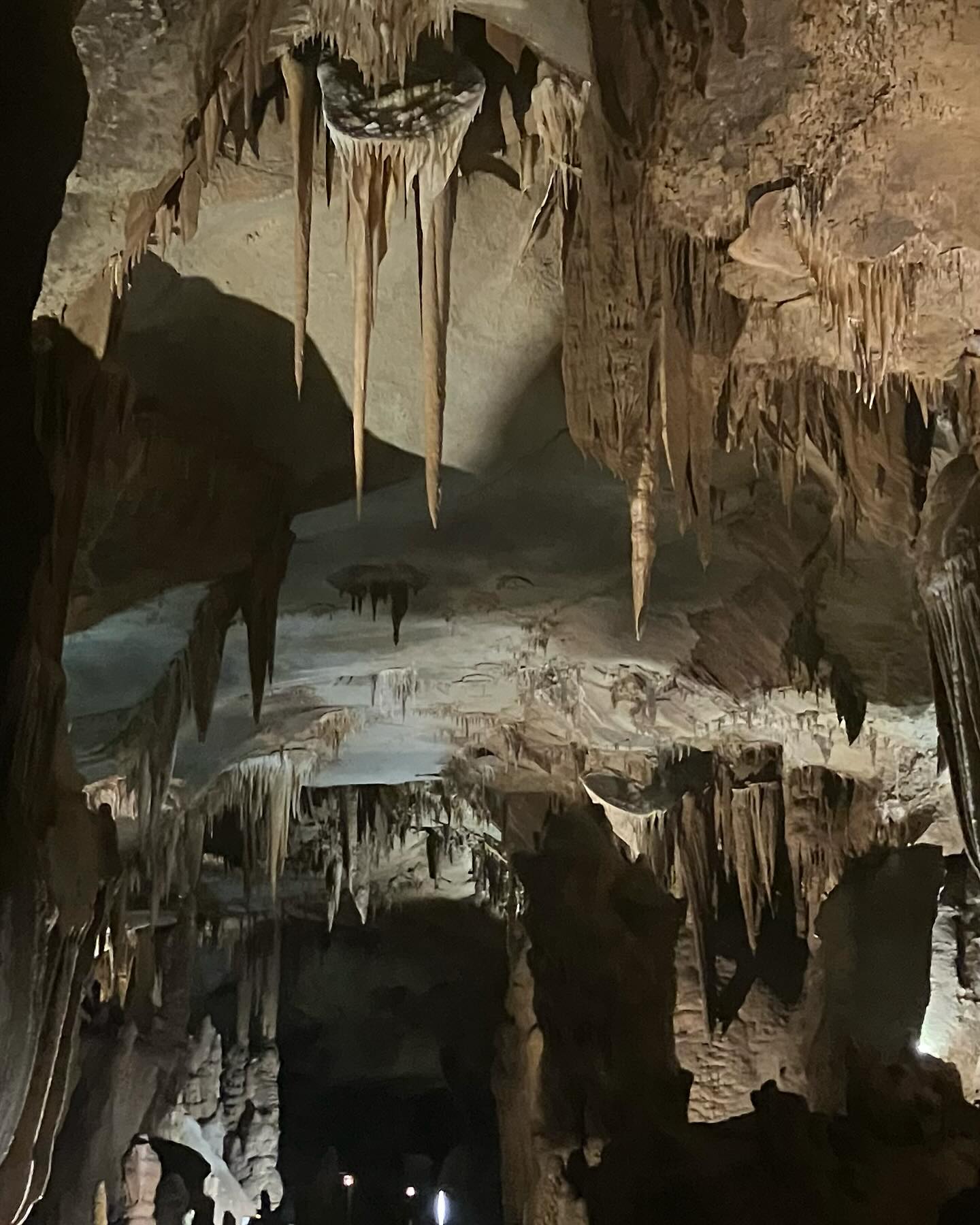 Dag 49 - 17976572453846019.jpg