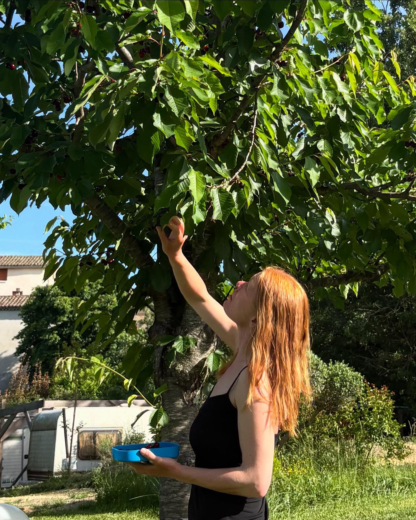 Dag 49 - 18045903788403772.jpg