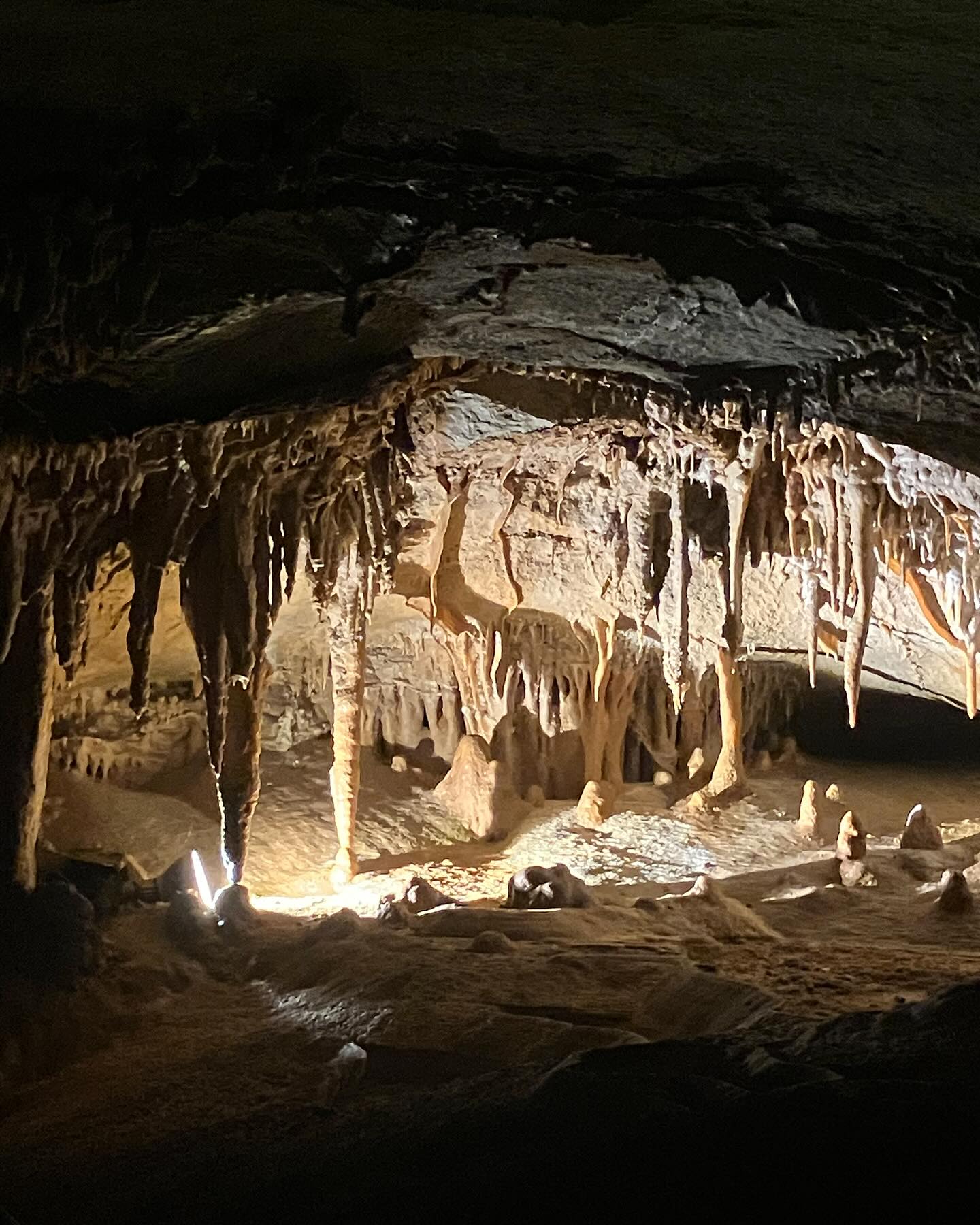 Dag 49 - 18058905599470058.jpg