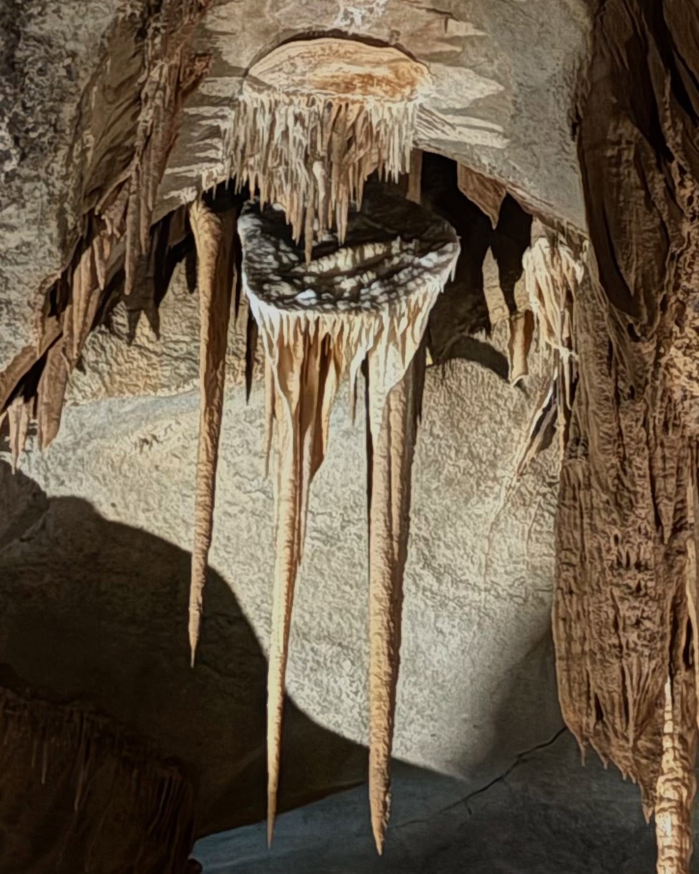 Dag 49 - 18069860902778393.jpg