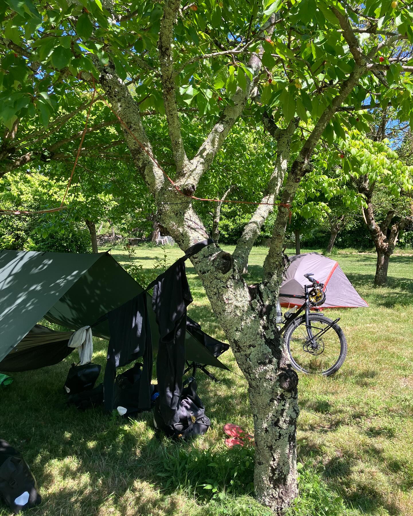 Dag 49 - 18081266659619919.jpg