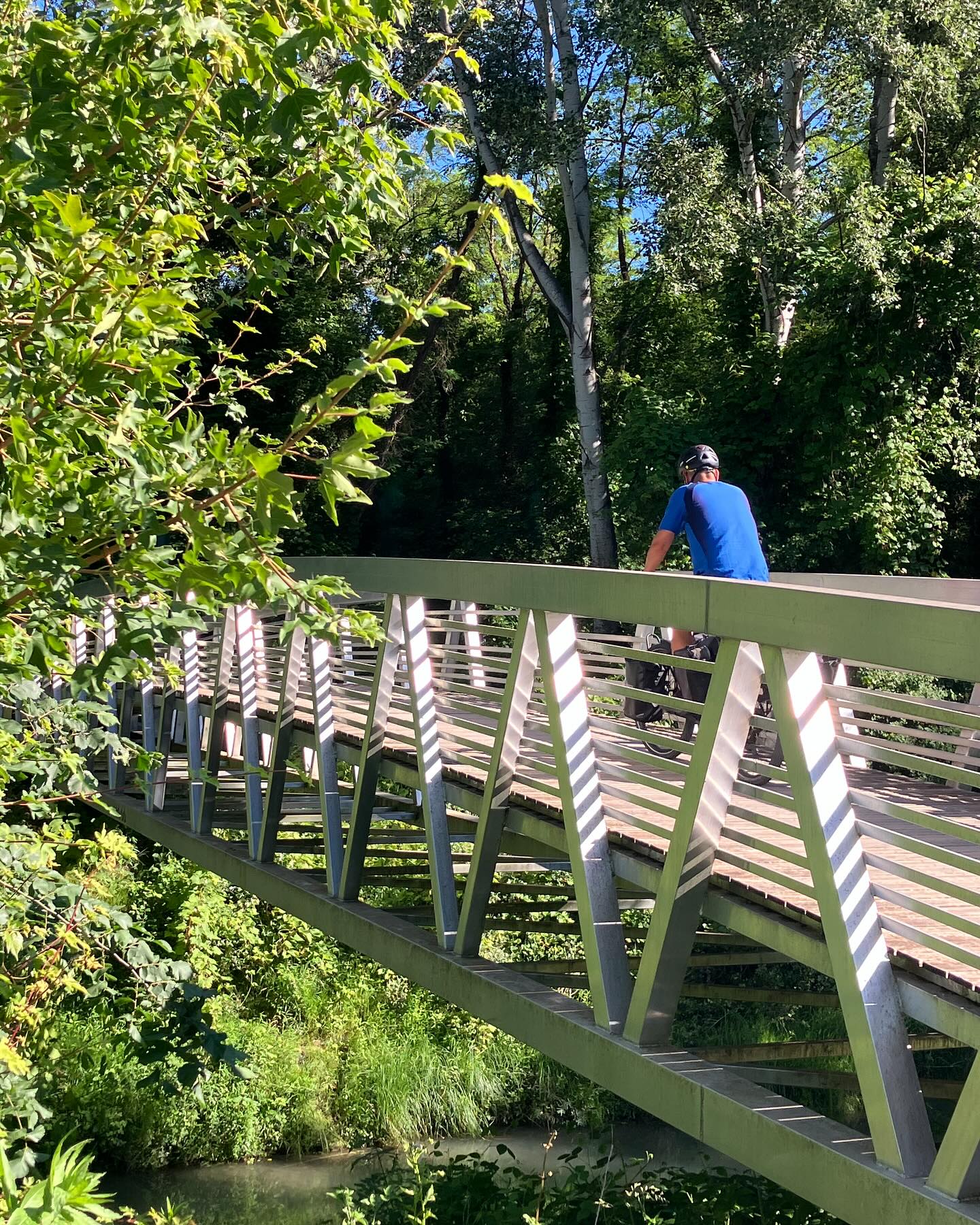 Dag 53 - 18191372932312486.jpg