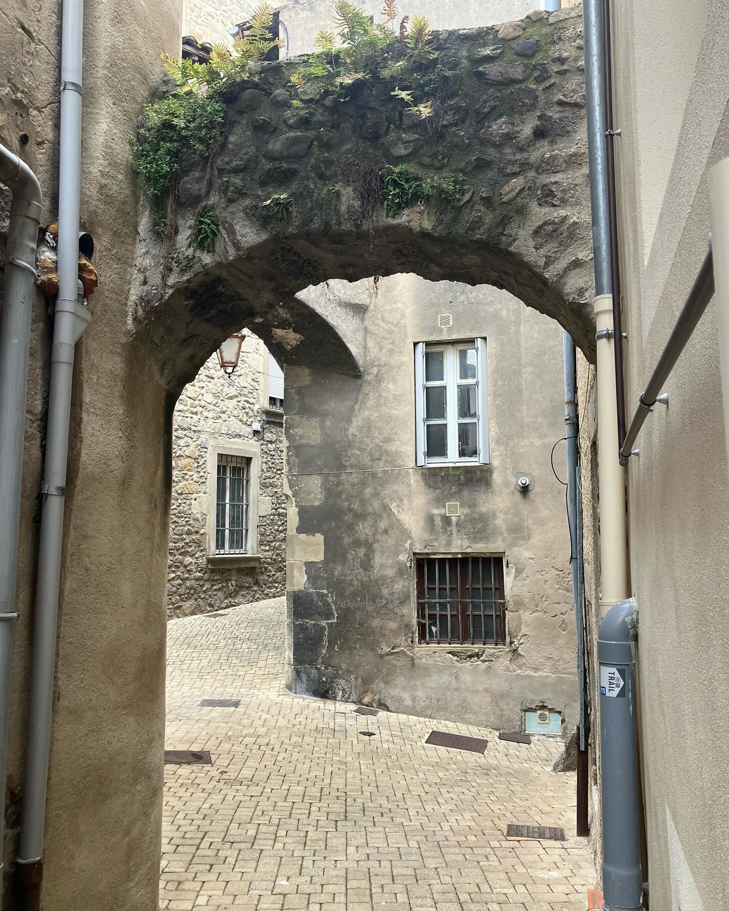 Dag 55 - 18011970341754533.jpg