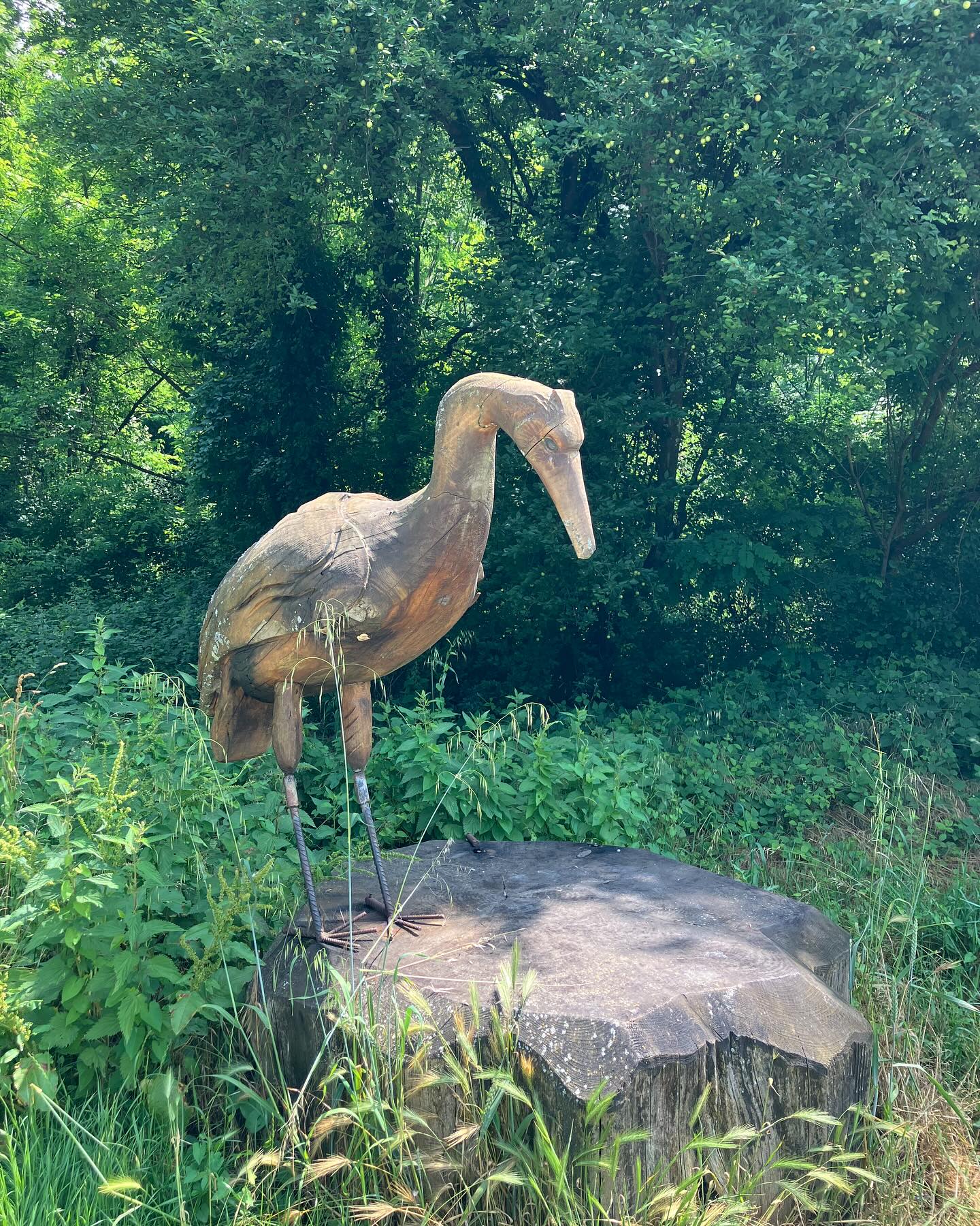 Dag 61 - 18034980677355628.jpg