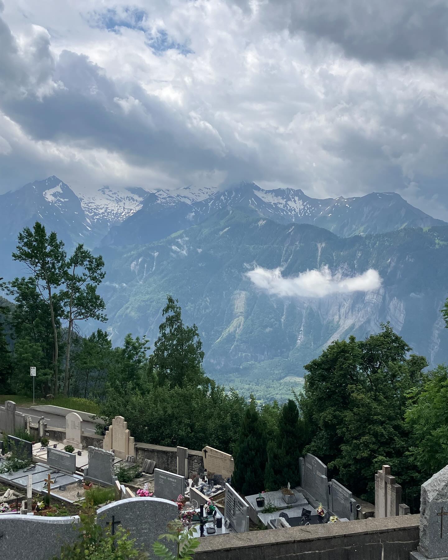 Dag 61 - 18056189516018401.jpg