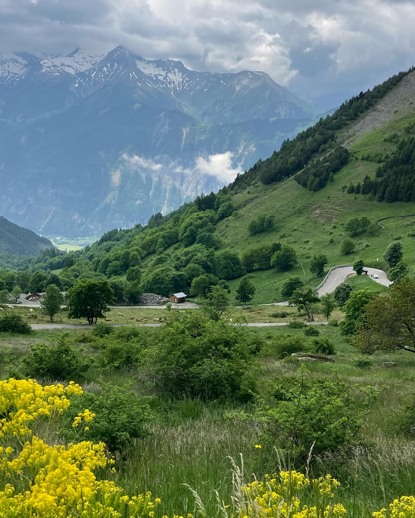 Dag 61 - 18069836764820750.jpg