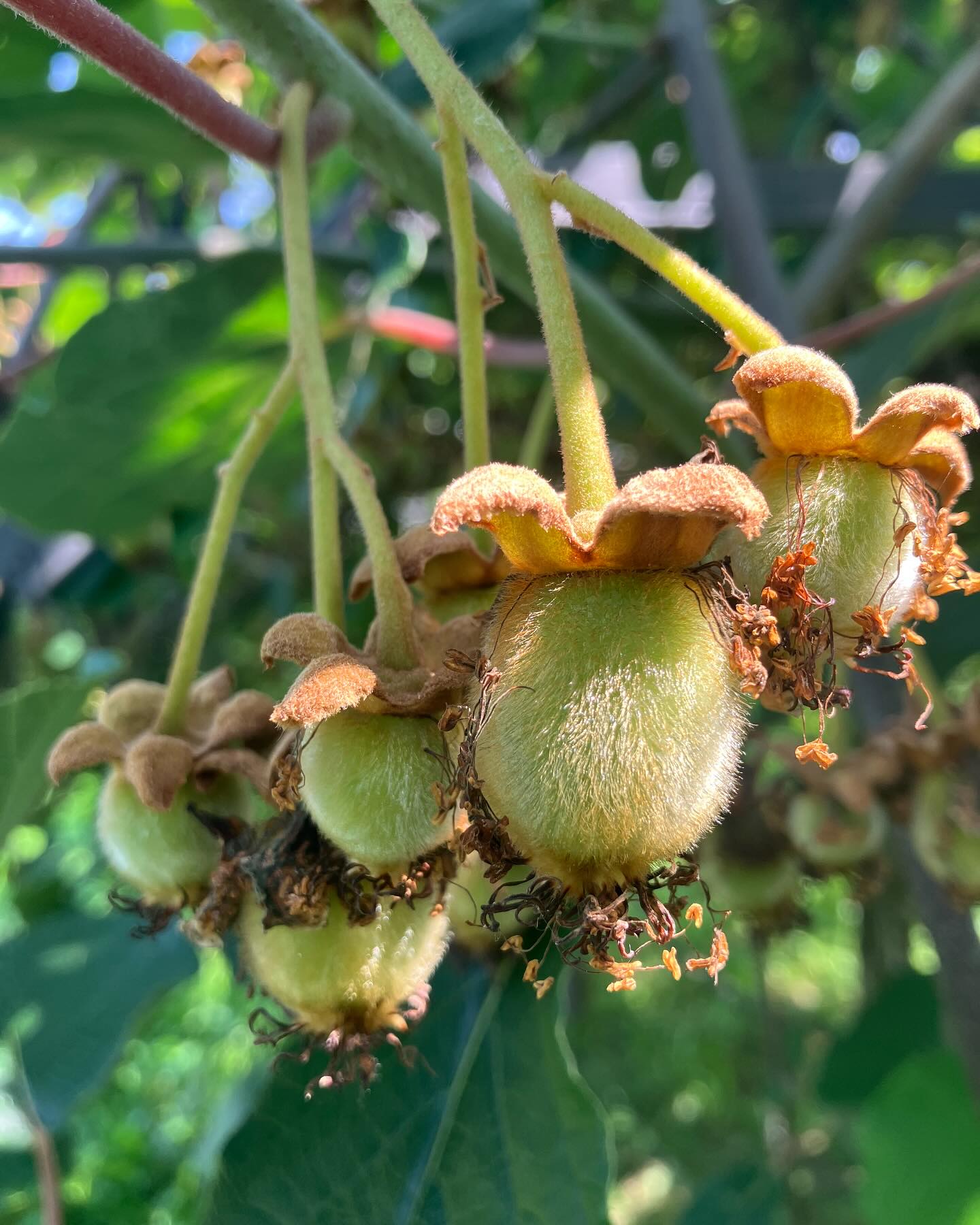 Dag 63 - 18032943947415830.jpg