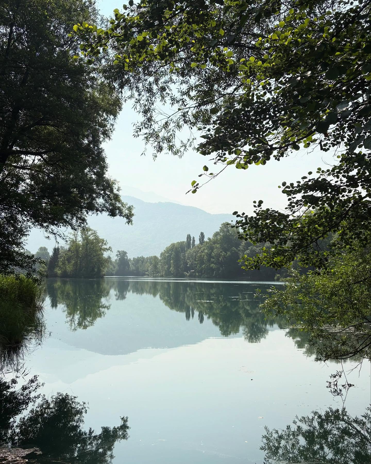 Dag 64 - 18053343410366336.jpg