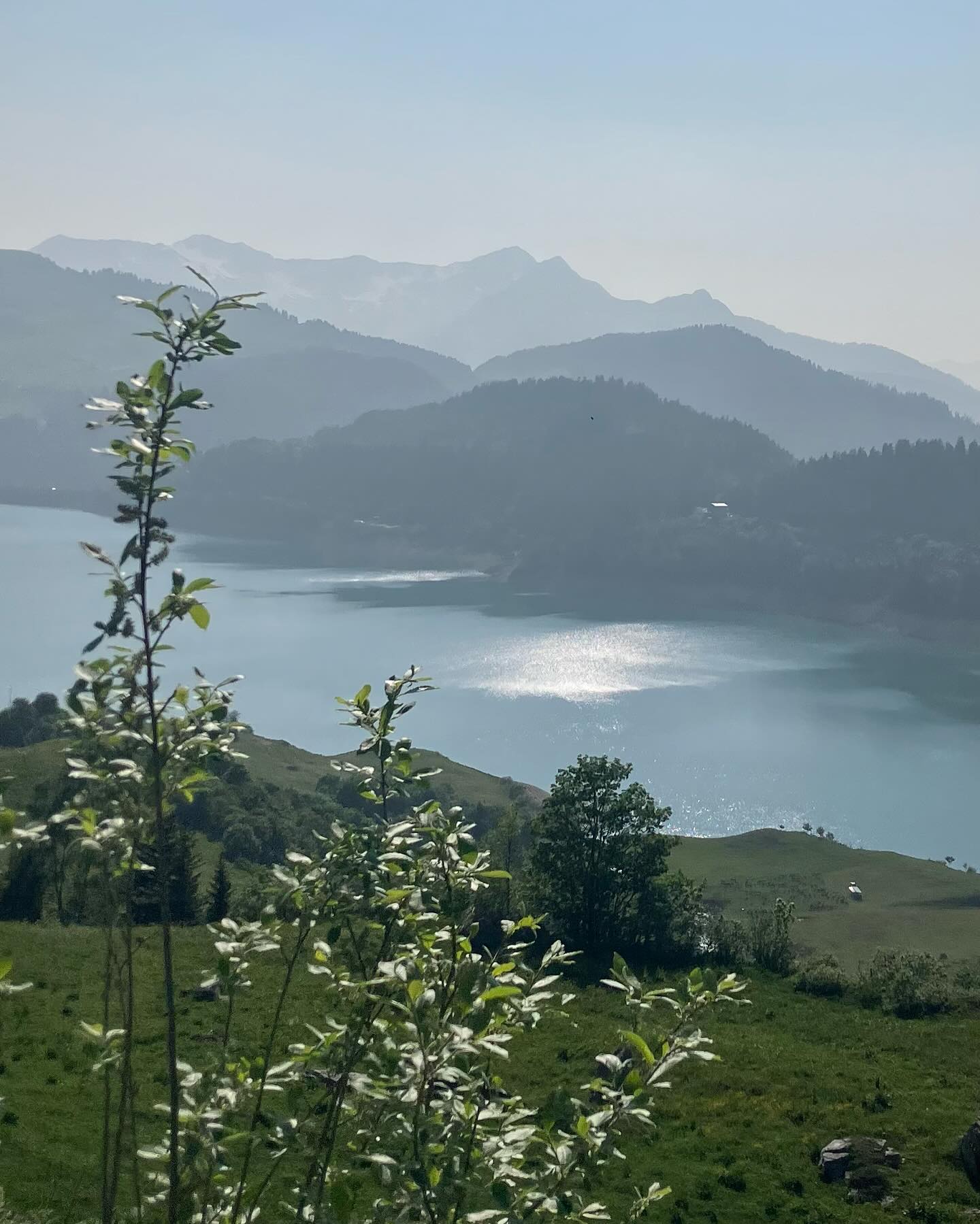 Dag 64 - 18058334156224931.jpg