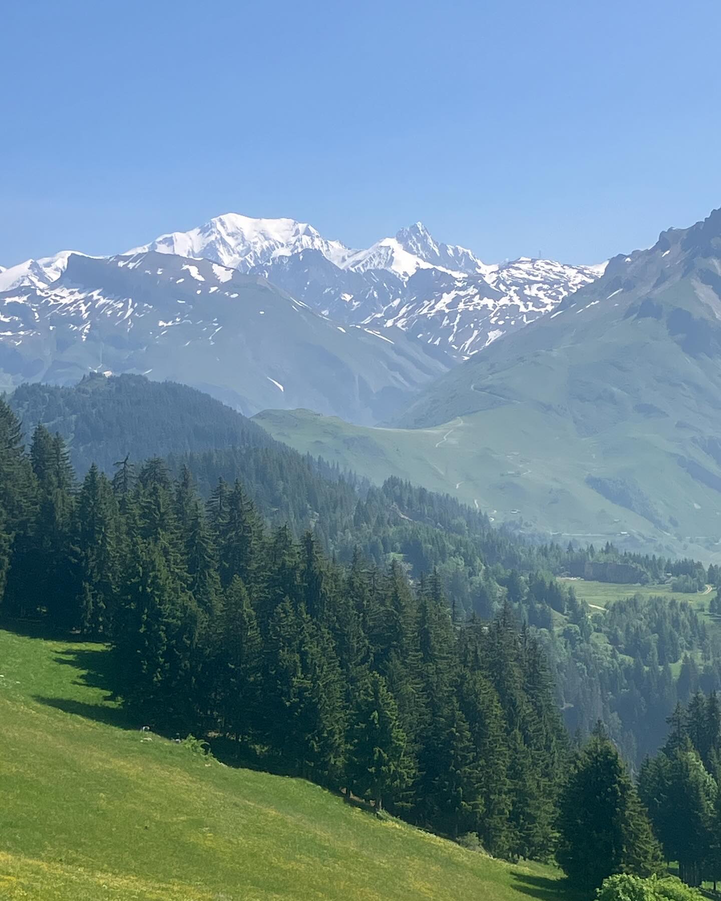 Dag 65 - 17952932654968395.jpg