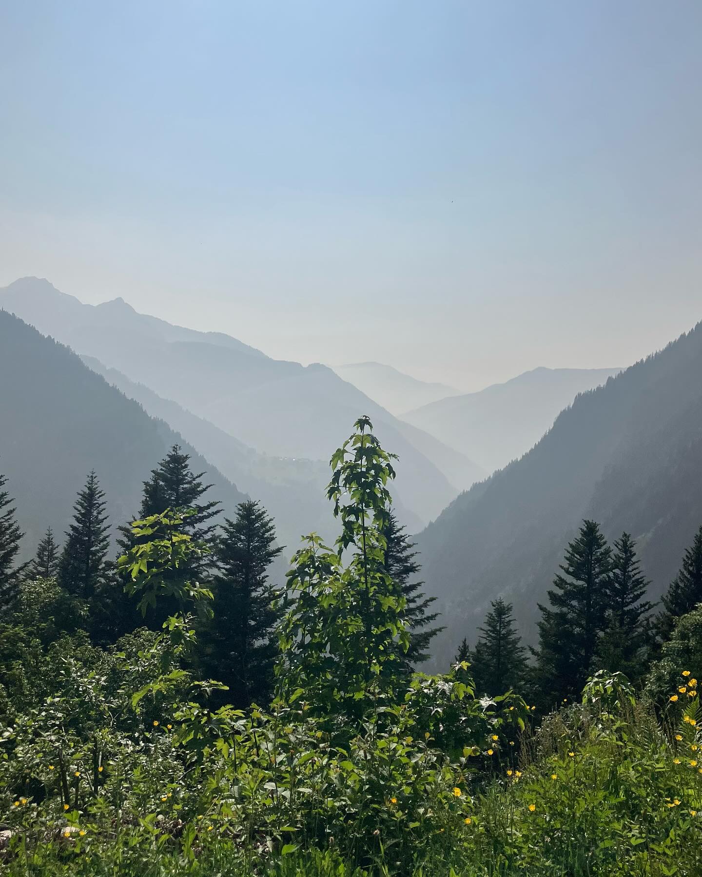 Dag 65 - 17957223728950028.jpg