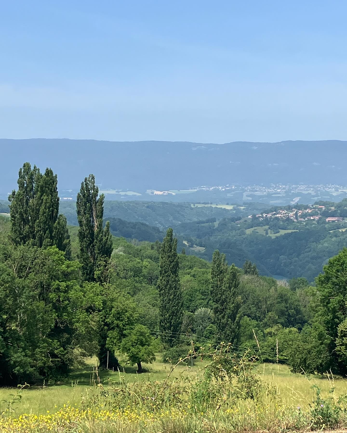 Dag 68 - 18048485288425095.jpg