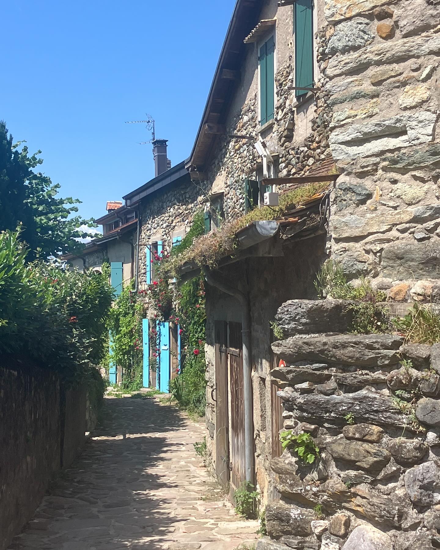 Dag 68 - 18129018394428251.jpg