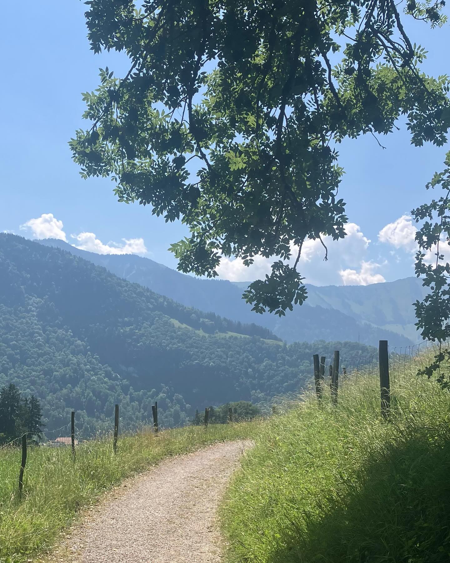 Dag 71 - 17915514993016136.jpg