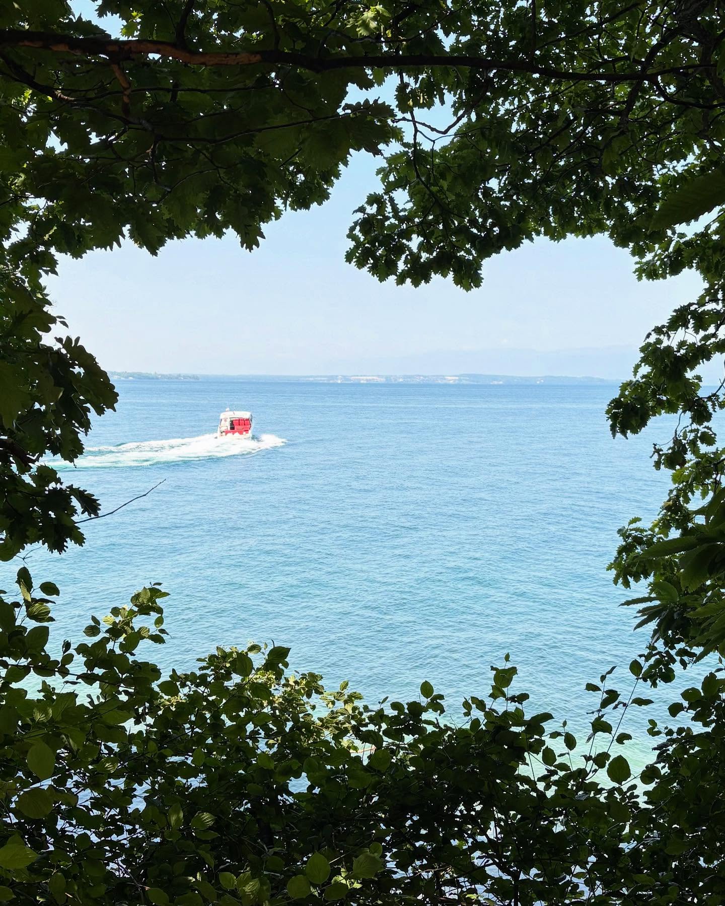 Dag 71 - 18067856777085655.jpg