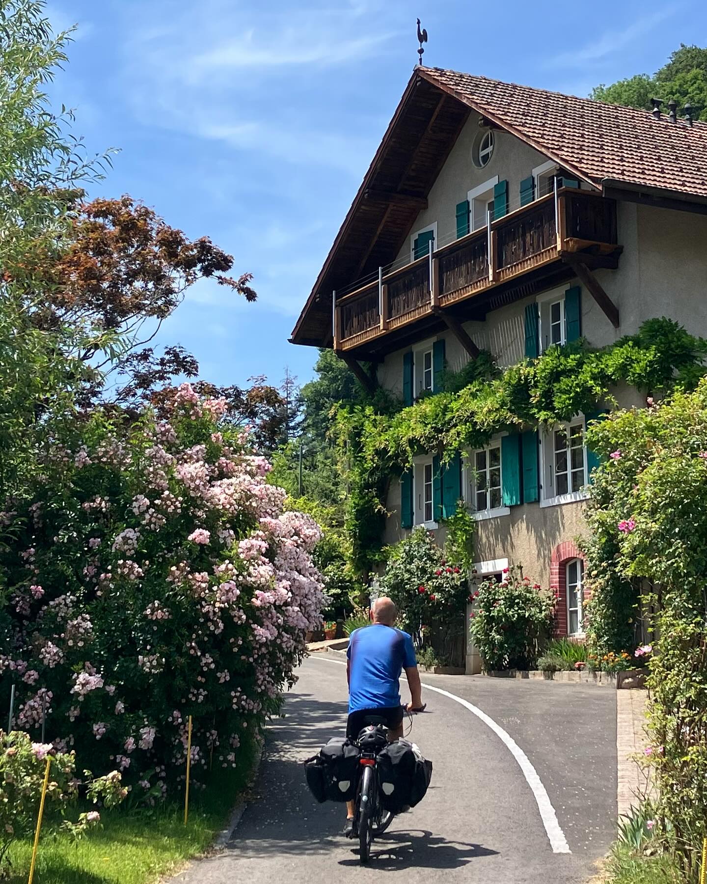 Dag 72 - 18059437274244186.jpg