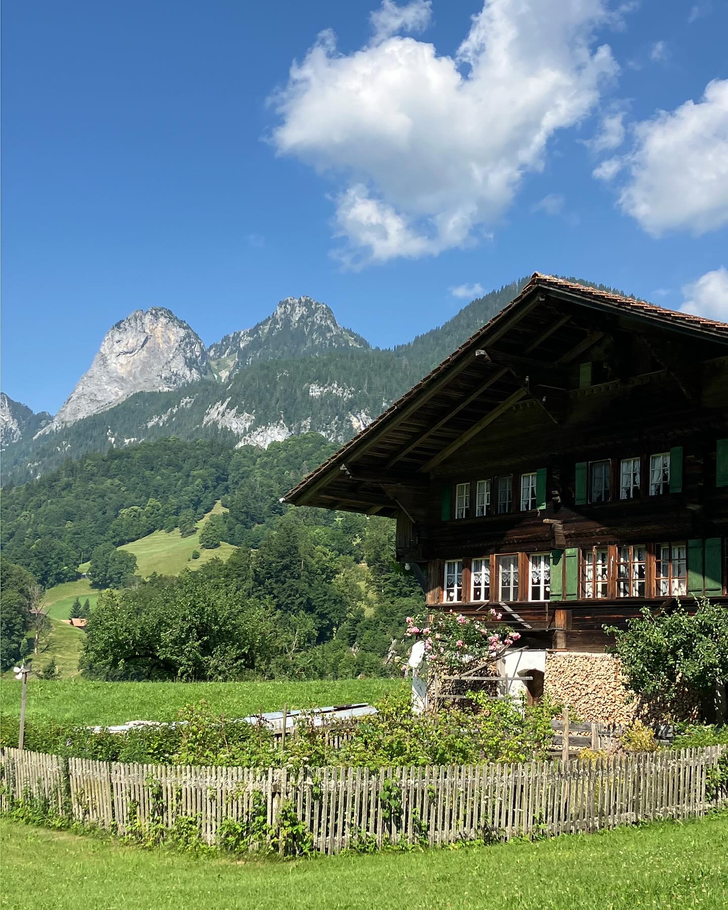 Dag 73 - 18056093513358747.jpg