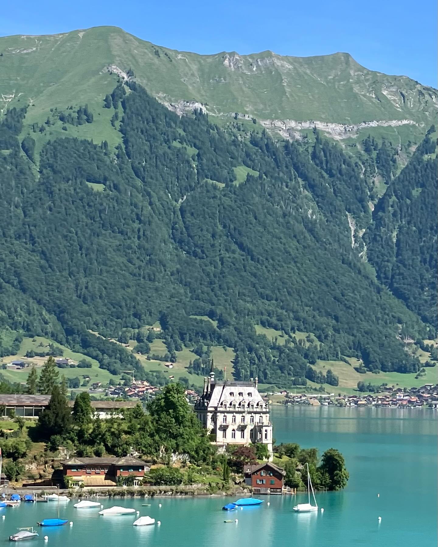 Dag 74 - 18073011464502617.jpg