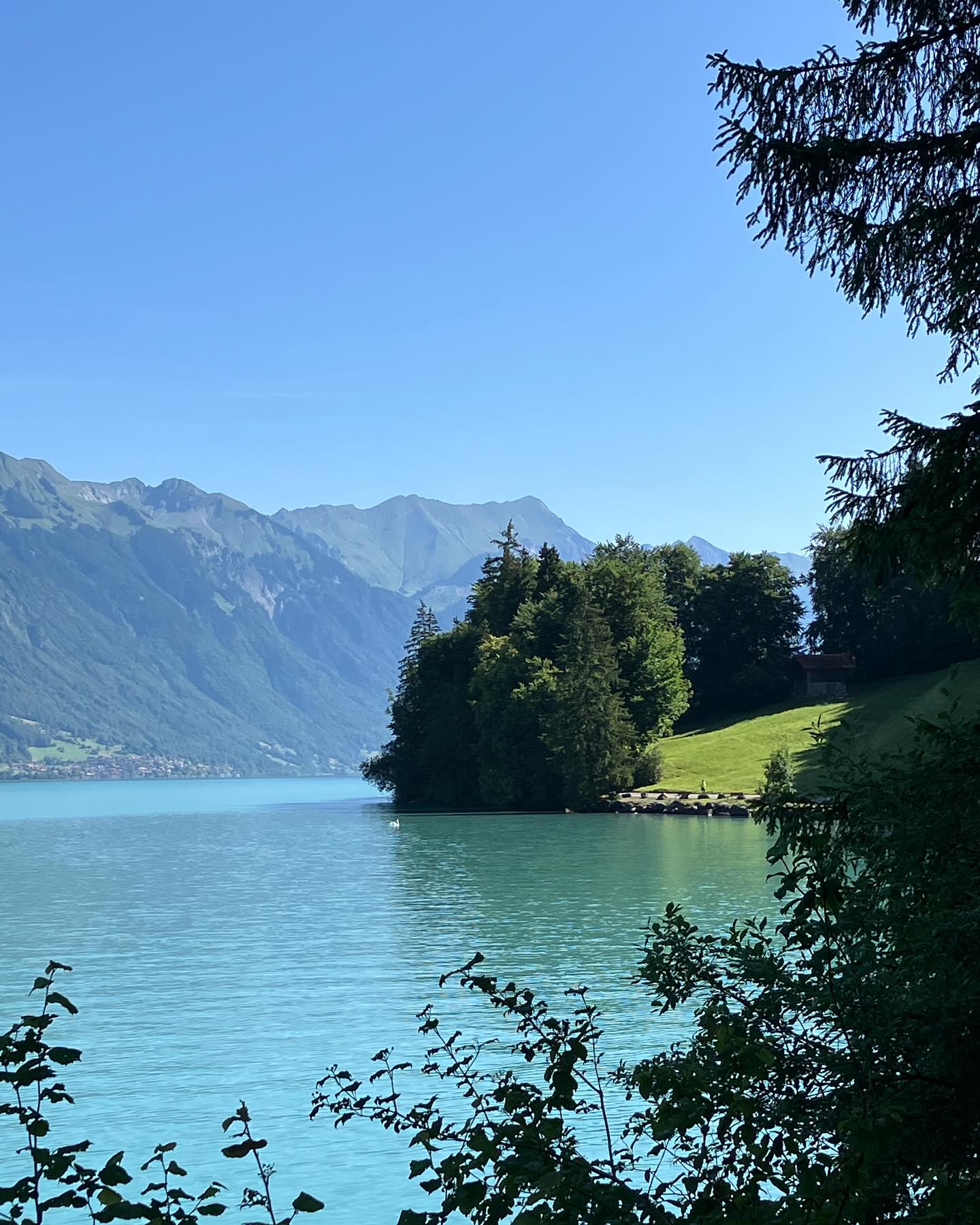 Dag 74 - 18415478452103413.jpg