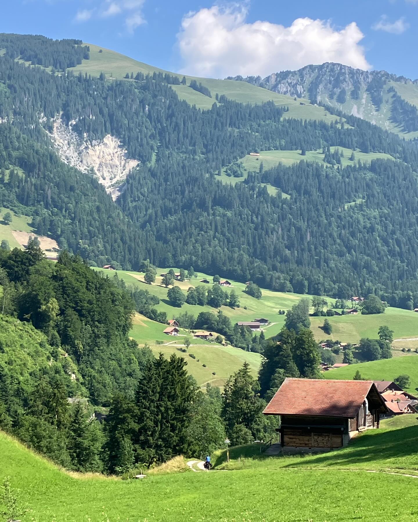 Dag 75 - 18078305395897202.jpg