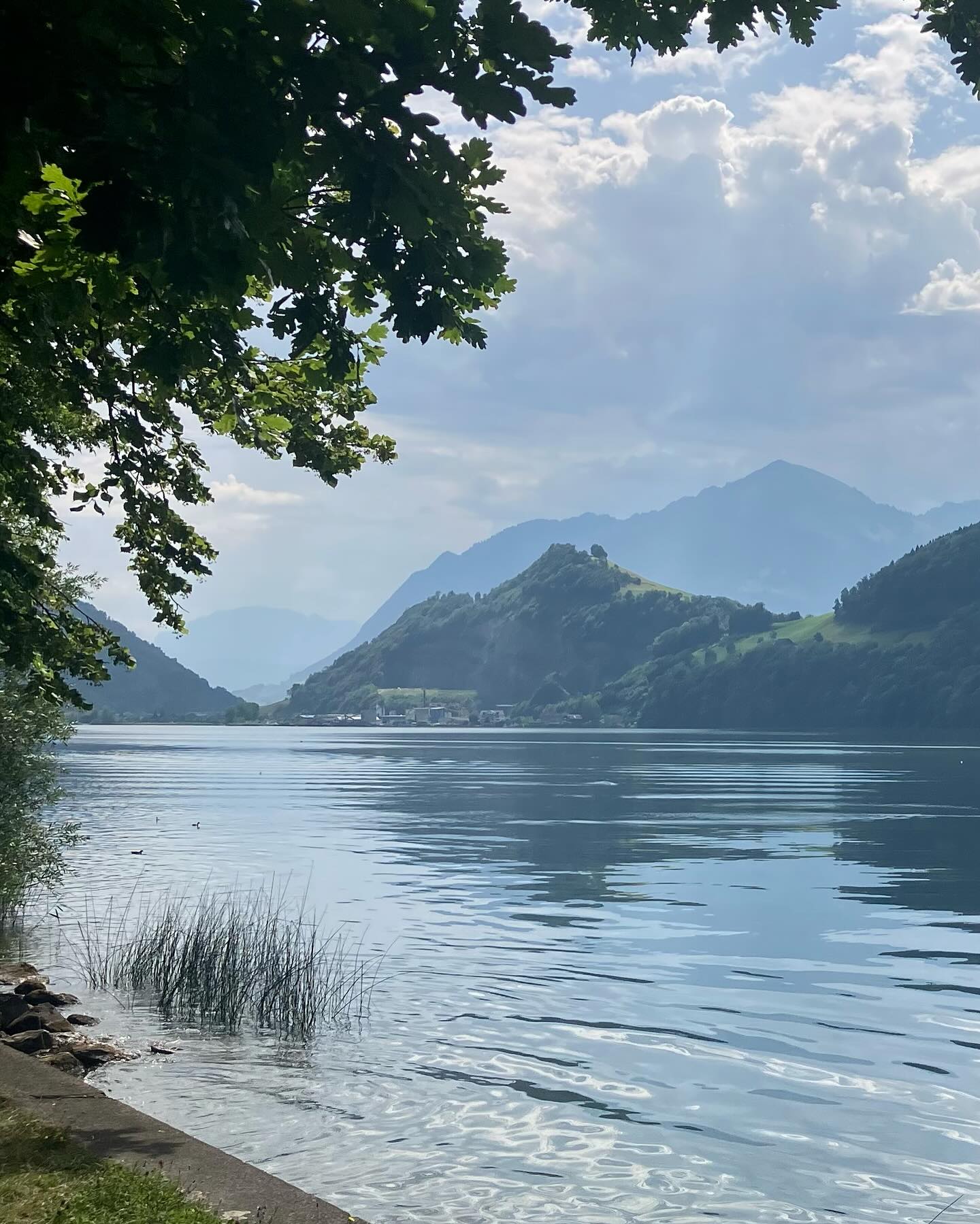 Dag 75 - 18100176727500302.jpg