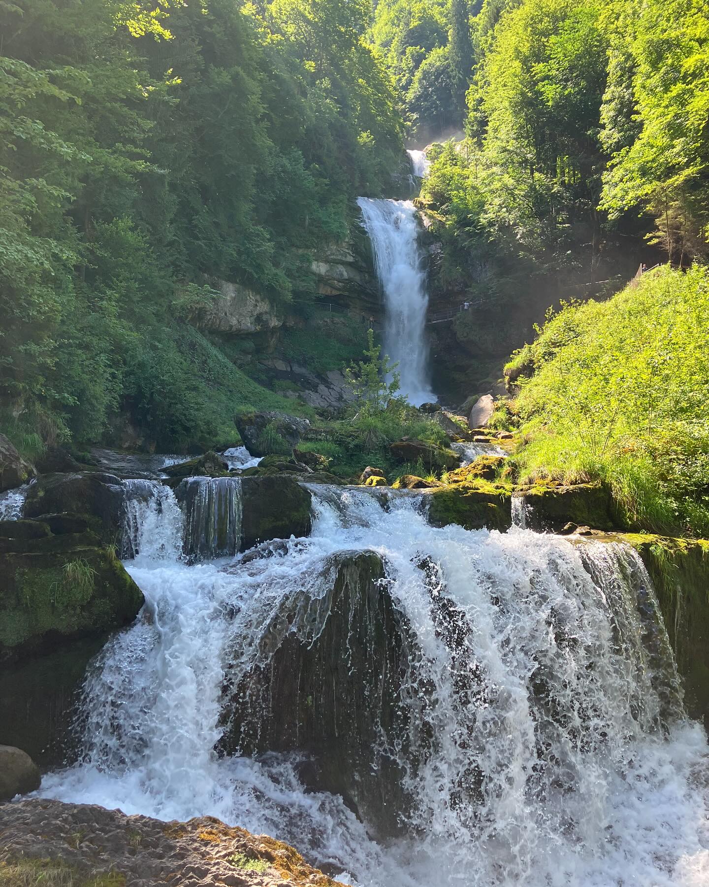 Dag 76 - 17879179611345511.jpg